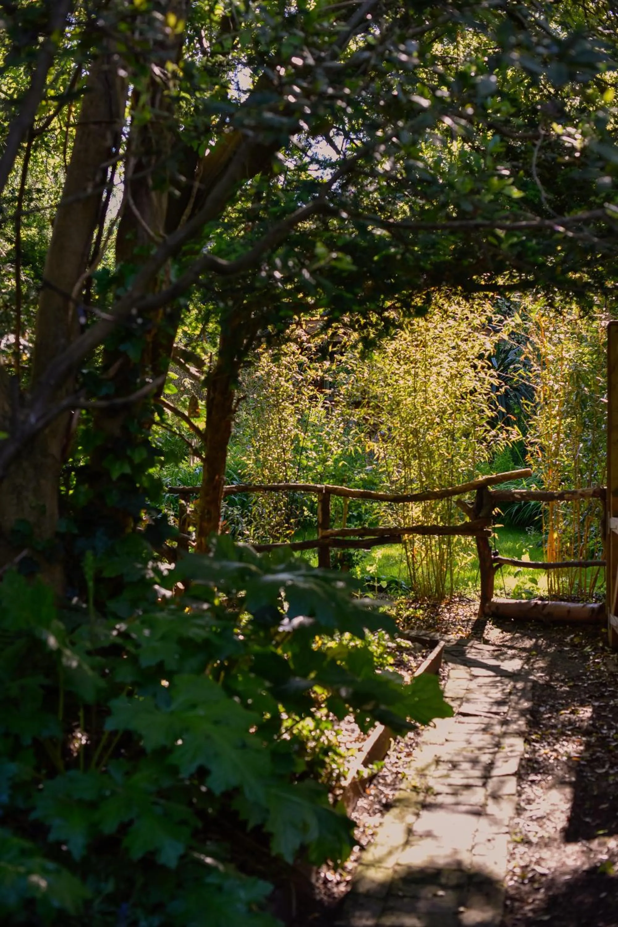 Day in Ward Avenue B&B