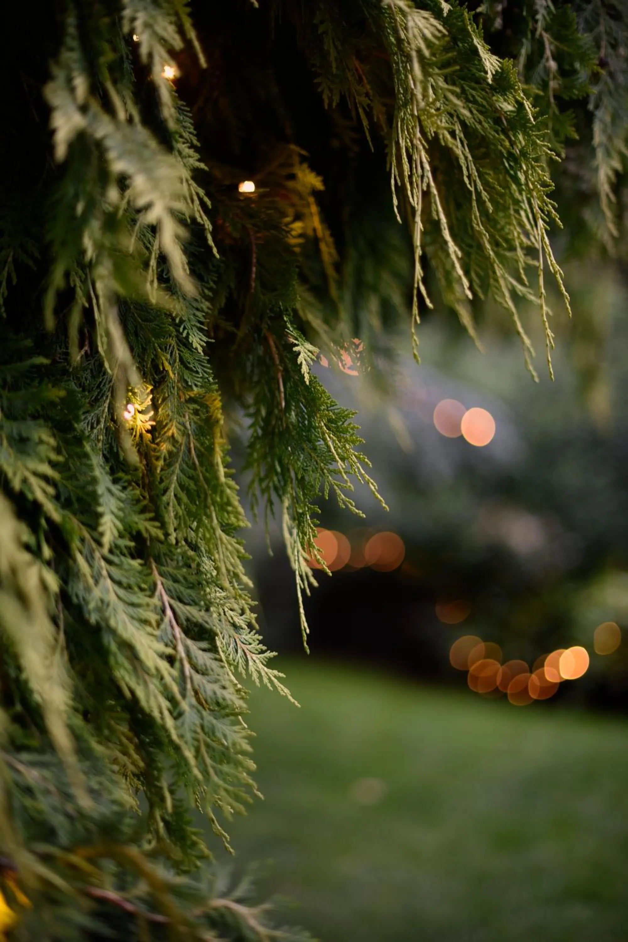Property building in Ward Avenue B&B
