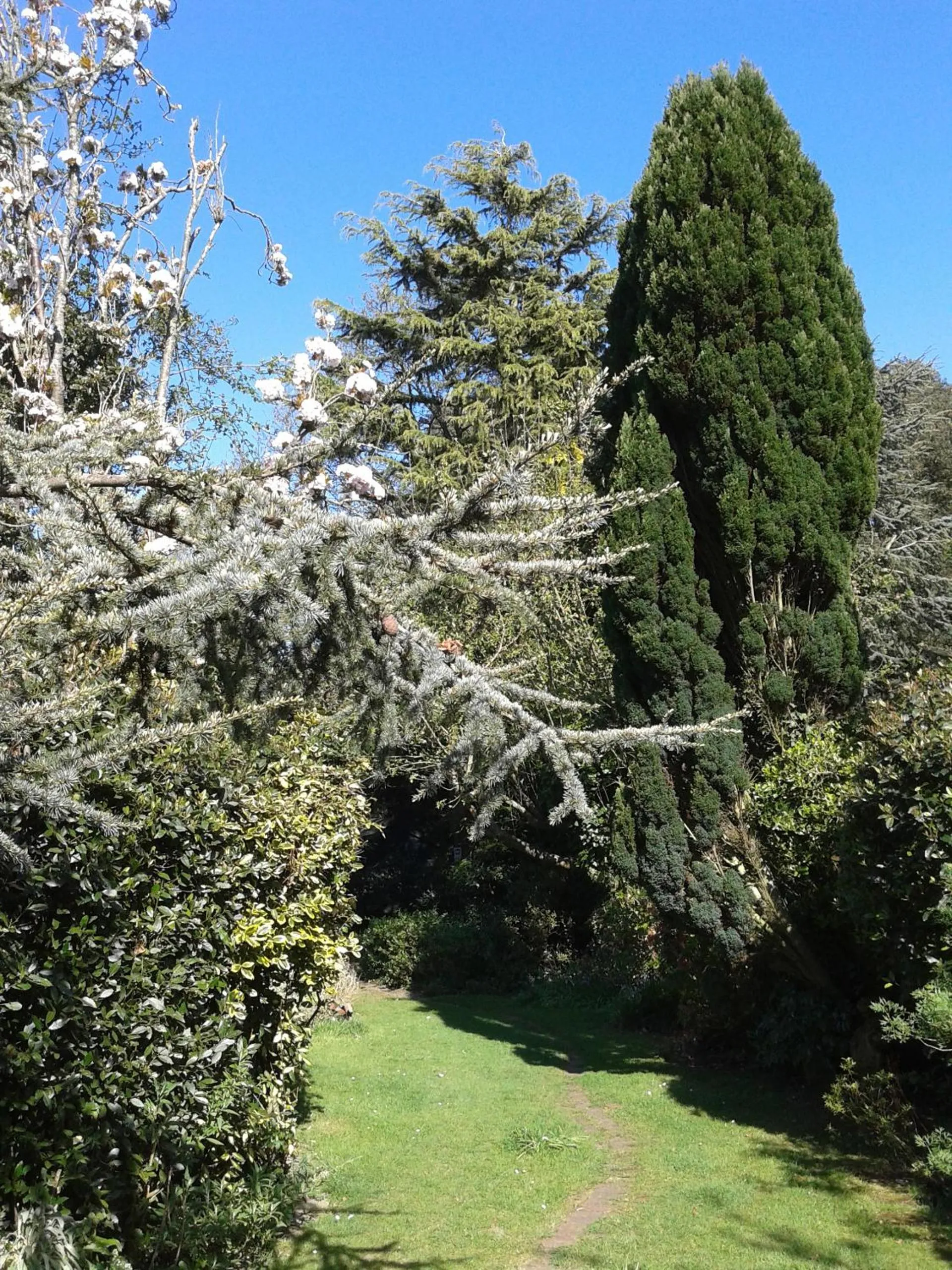 Spring in Ward Avenue B&B