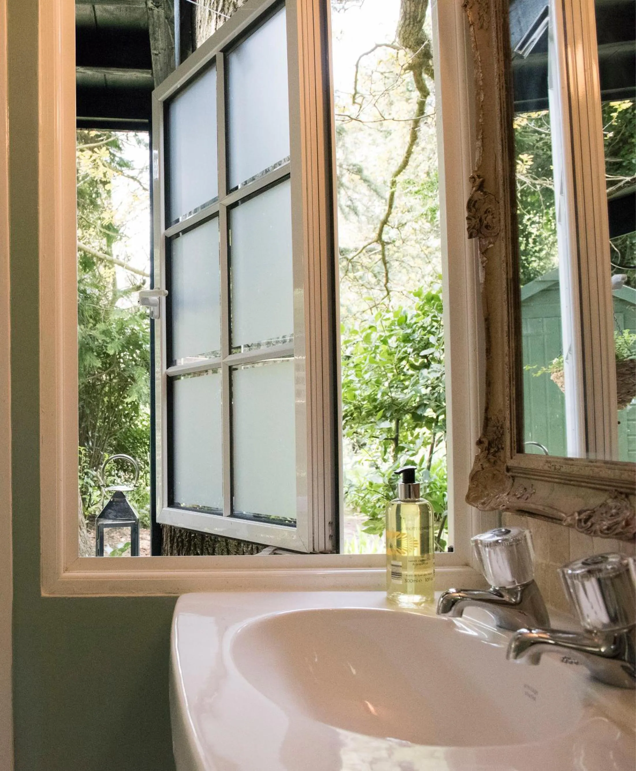 Garden in Ward Avenue B&B