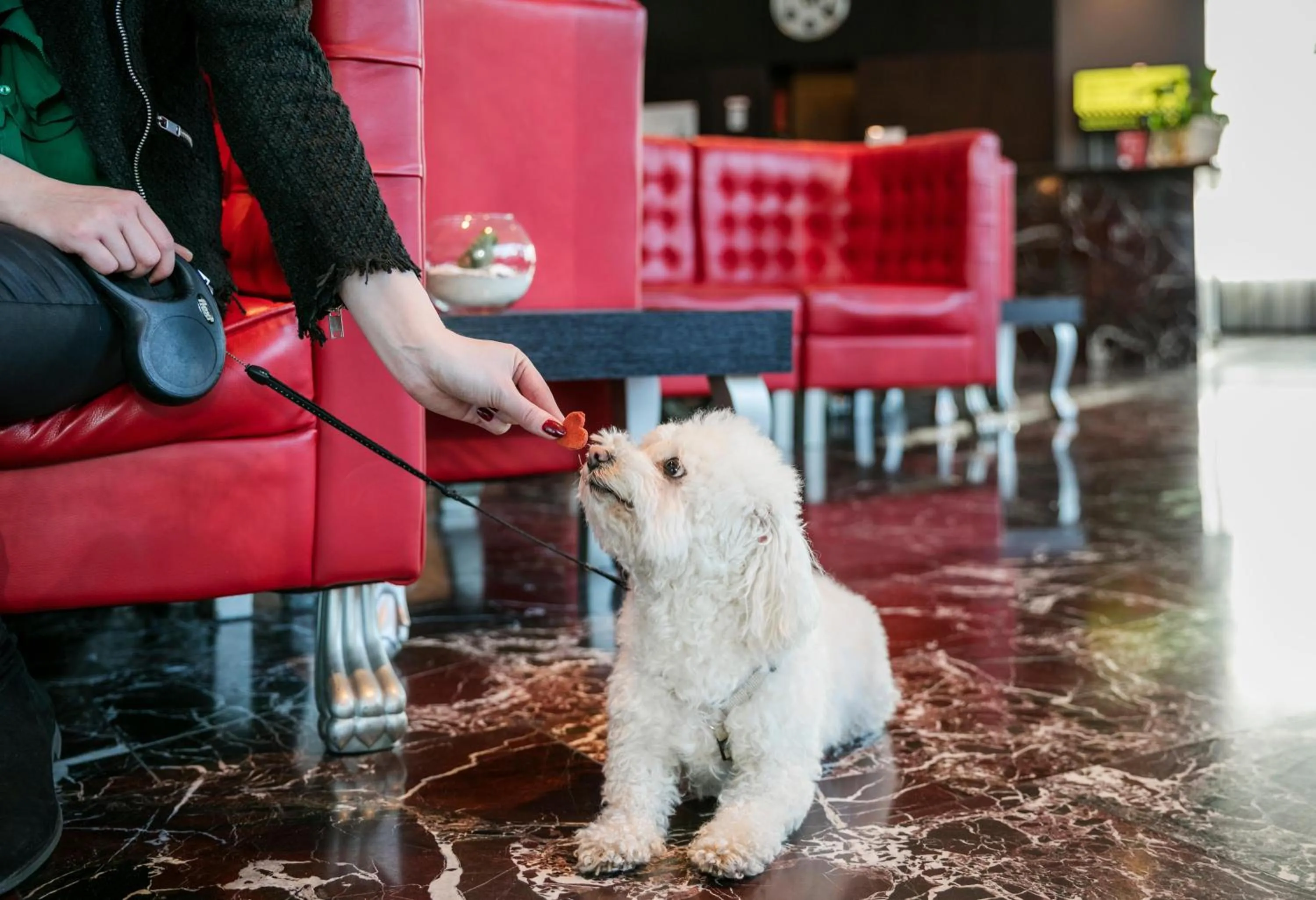 Lobby or reception in ARCOTEL Kaiserwasser Wien