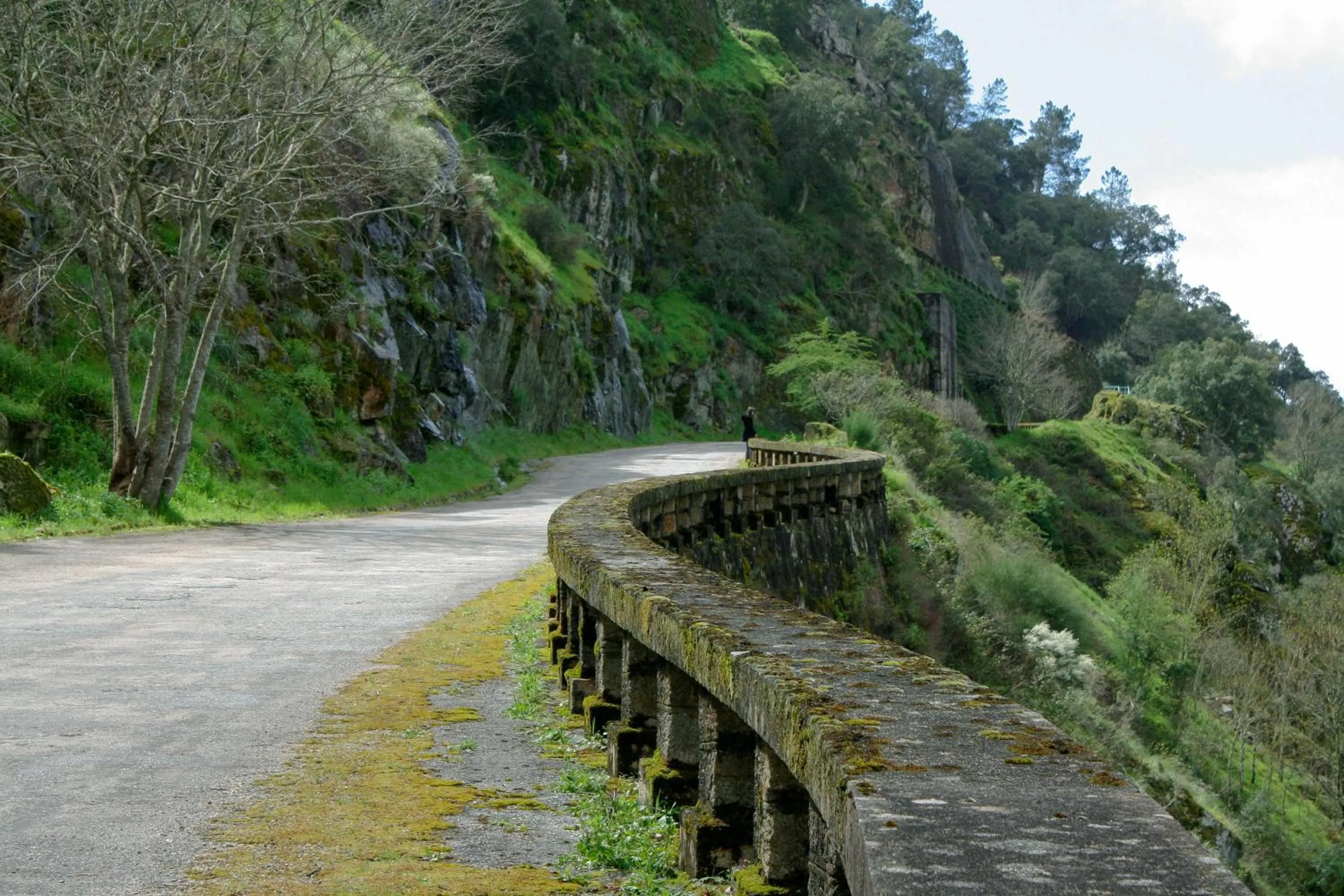 Area and facilities in Convento Da Serta Hotel