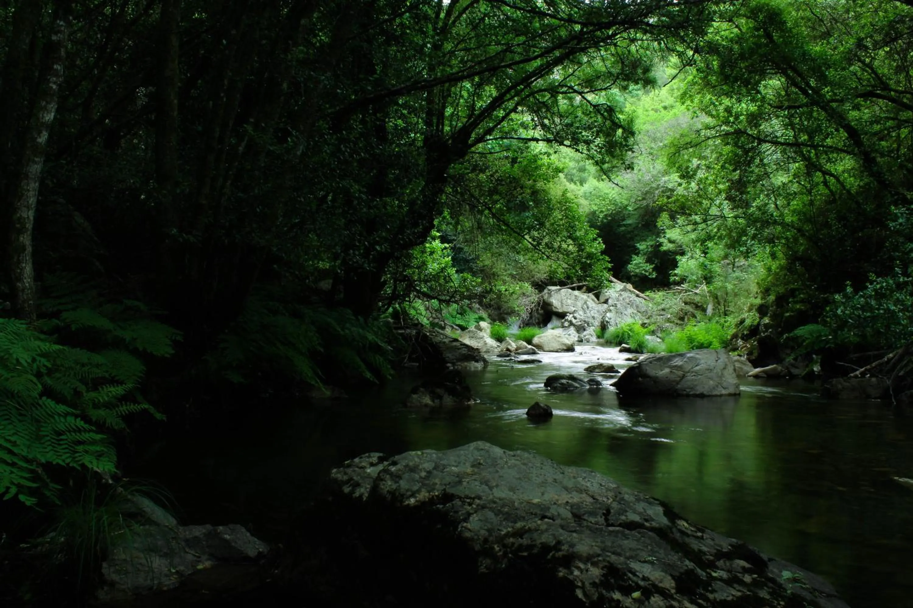 Area and facilities in Convento Da Serta Hotel