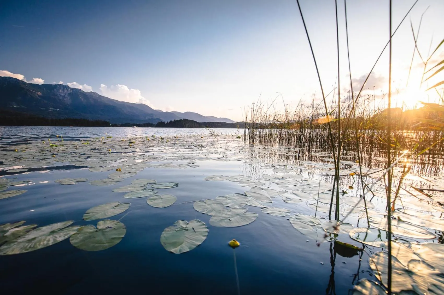 Natural landscape in Das Moser - Hotel Garni am See (Adults Only)