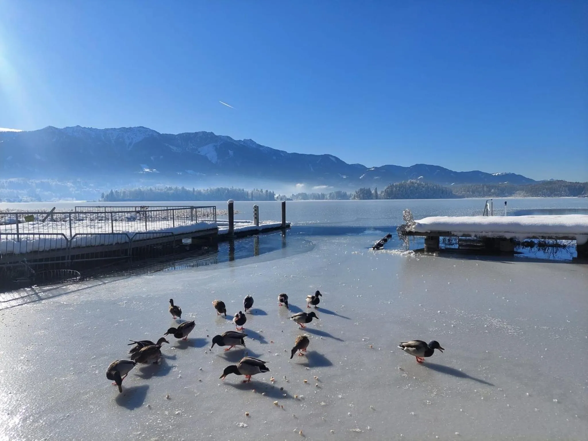 Natural landscape in Das Moser - Hotel Garni am See (Adults Only)