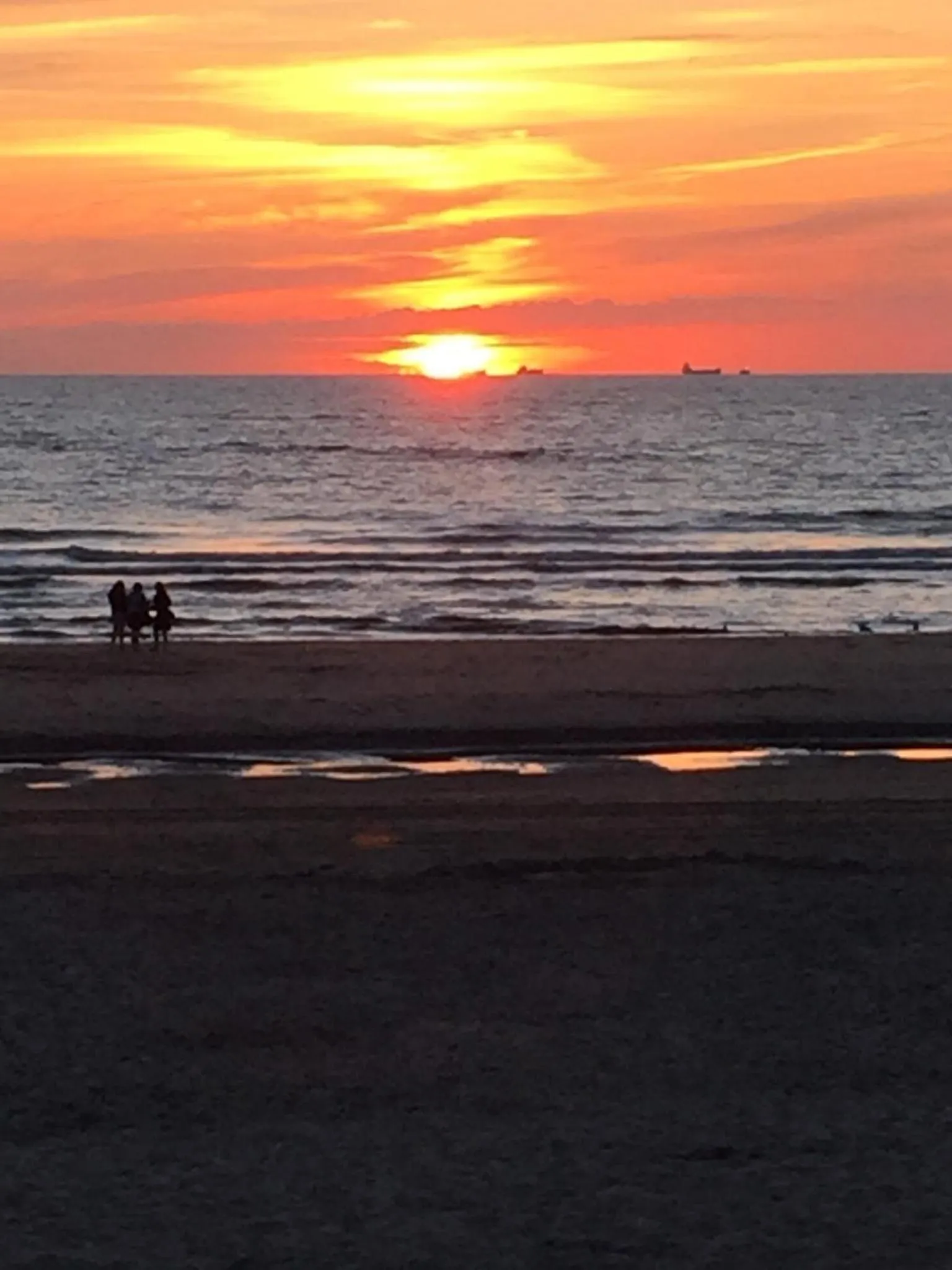 Natural landscape in Cottage 44 - Free parking!