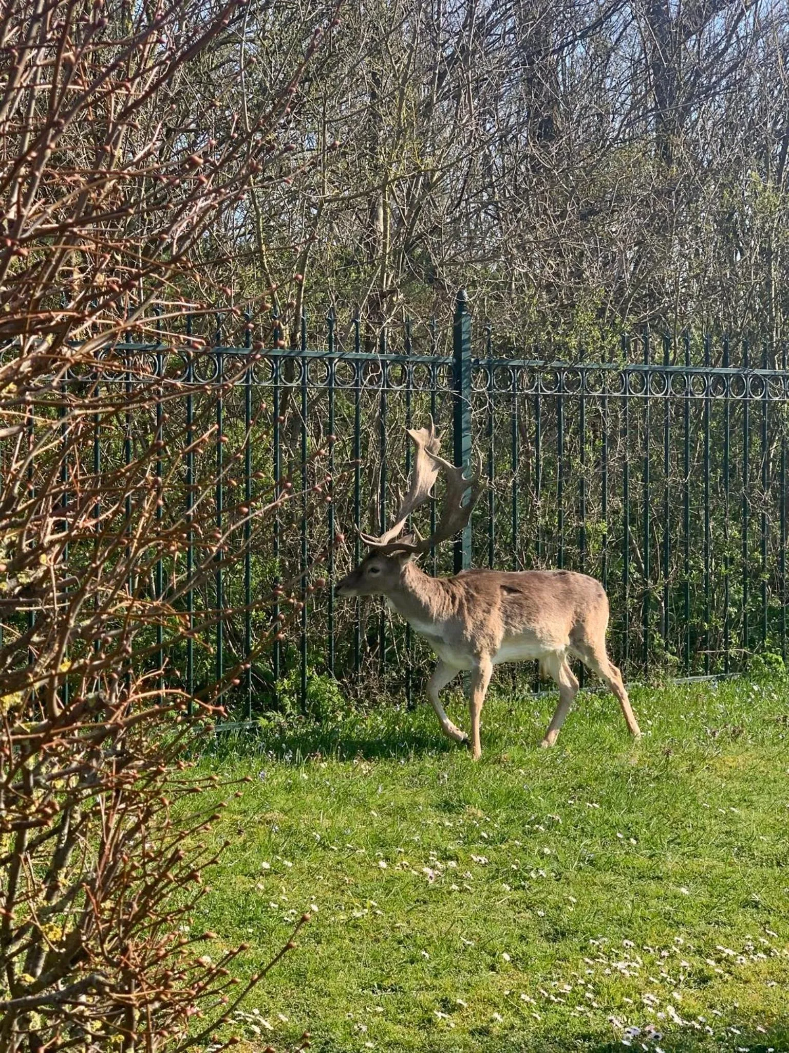 Natural landscape in Cottage 44 - Free parking!