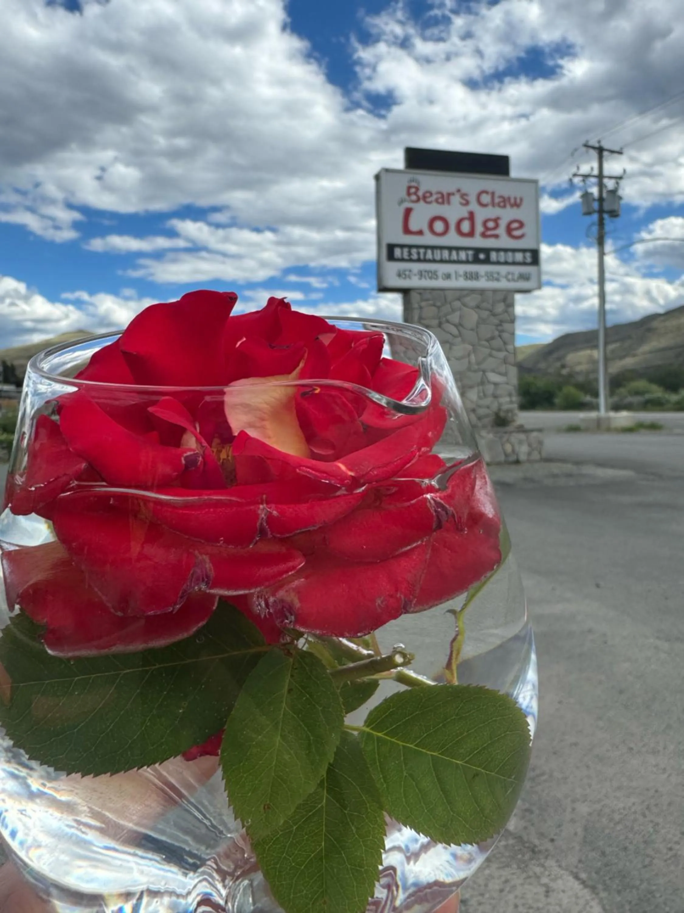 Property logo or sign in Bear's Claw Lodge