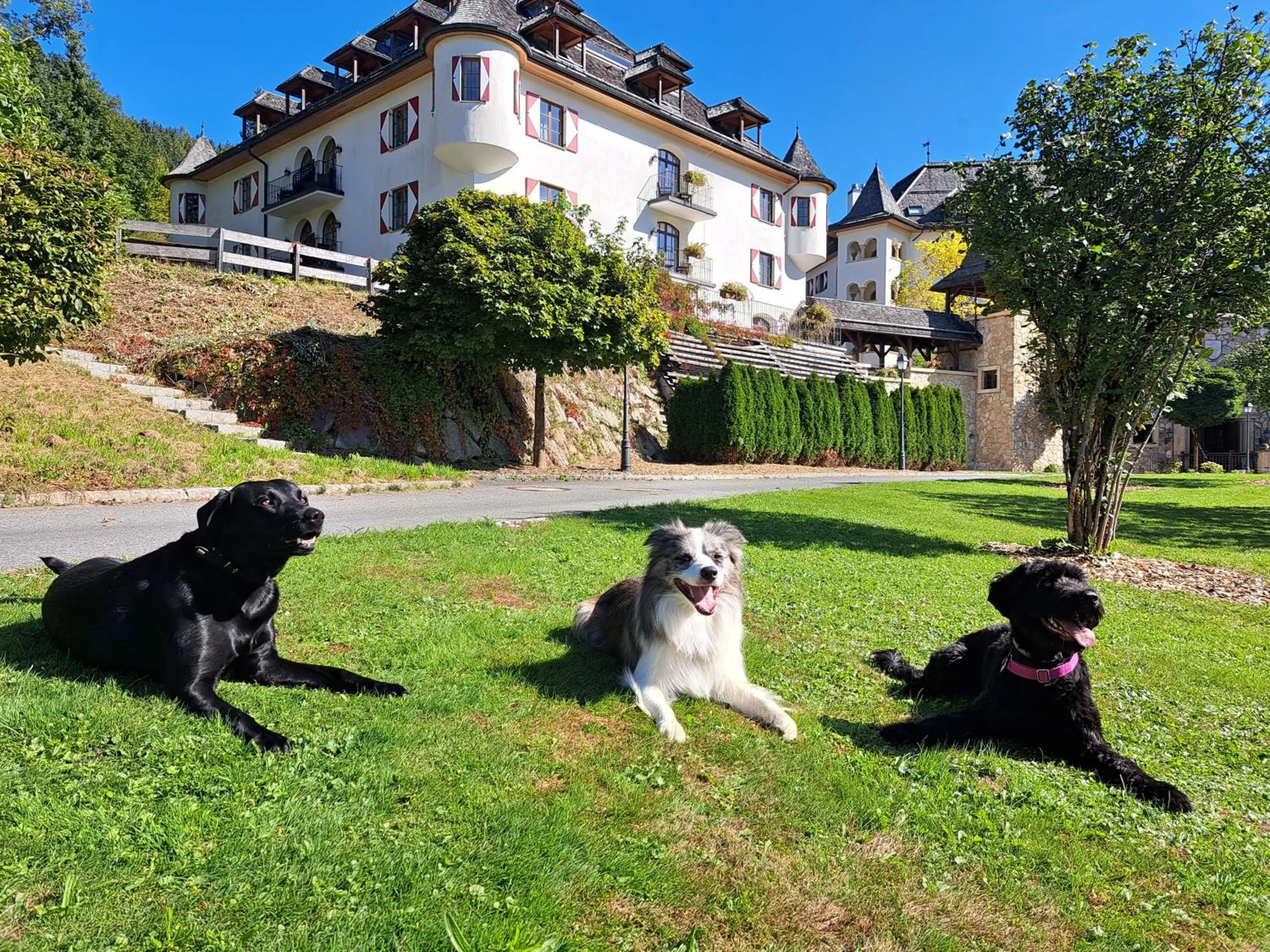 Pets in Schlosshotel Kitzbühel