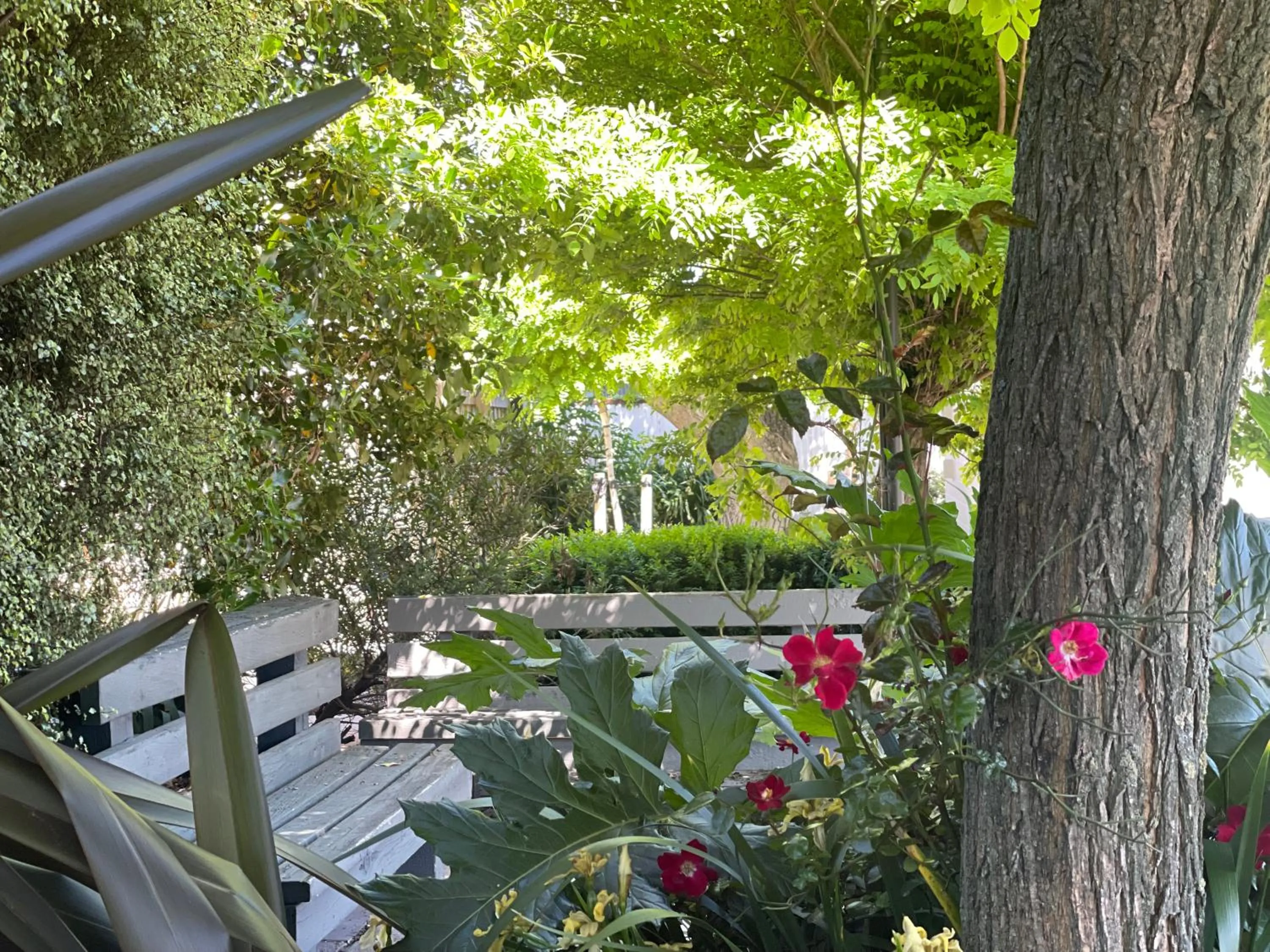 View (from property/room) in Ashleigh Court Motel-Christchurch Hagley Park