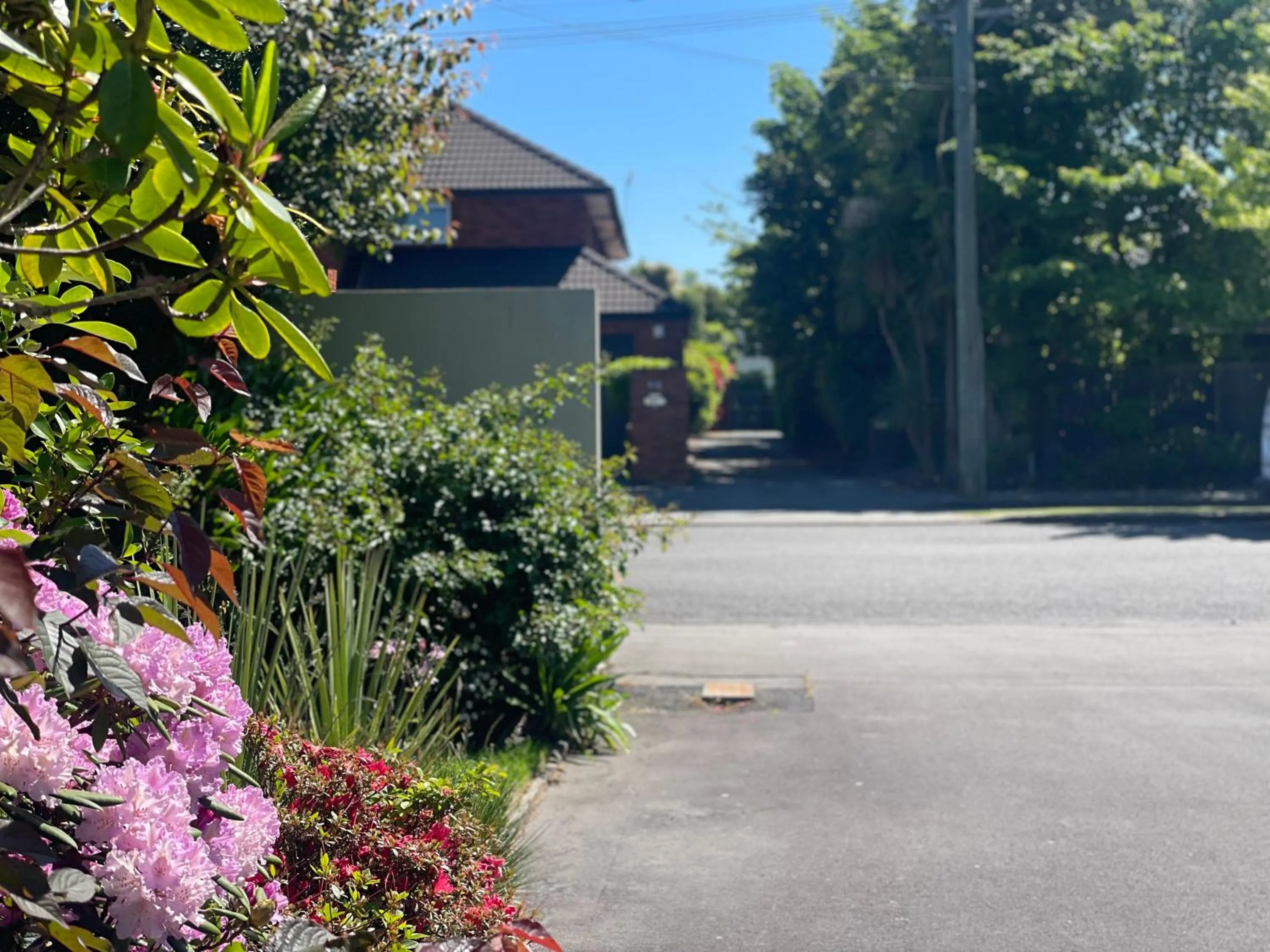 Neighbourhood in Ashleigh Court Motel-Christchurch Hagley Park