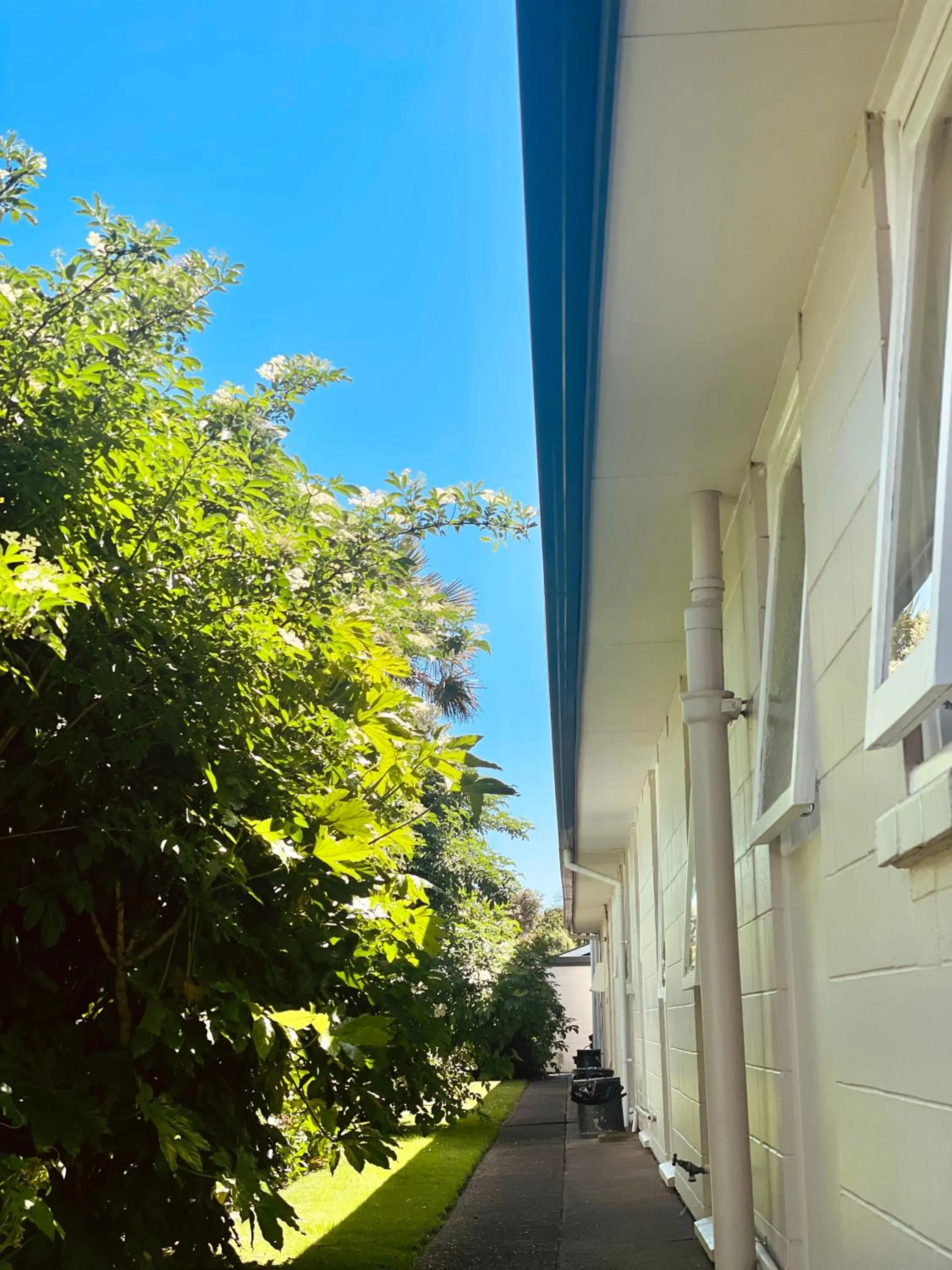 Property building in Ashleigh Court Motel-Christchurch Hagley Park