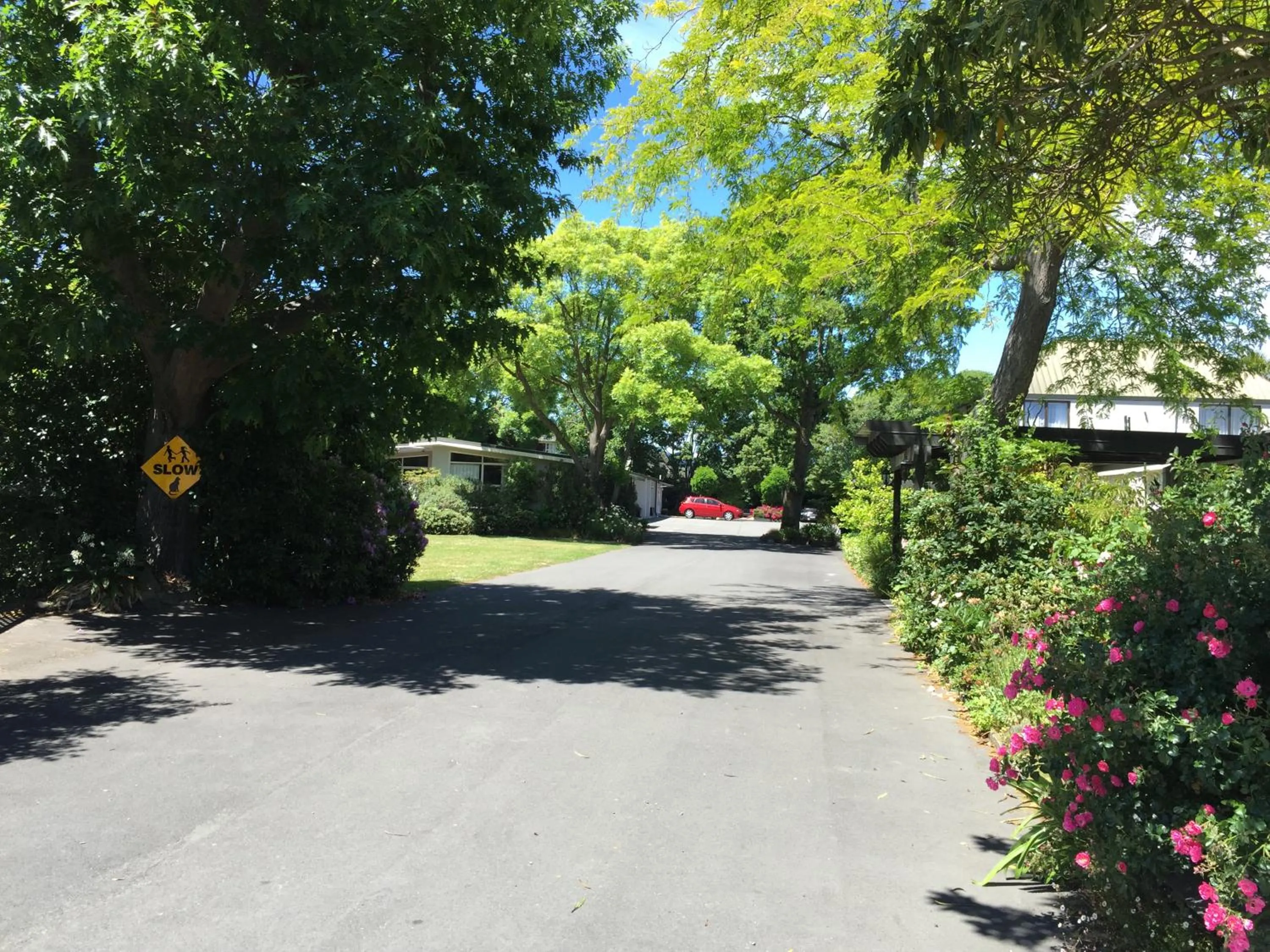 Garden in Ashleigh Court Motel-Christchurch Hagley Park