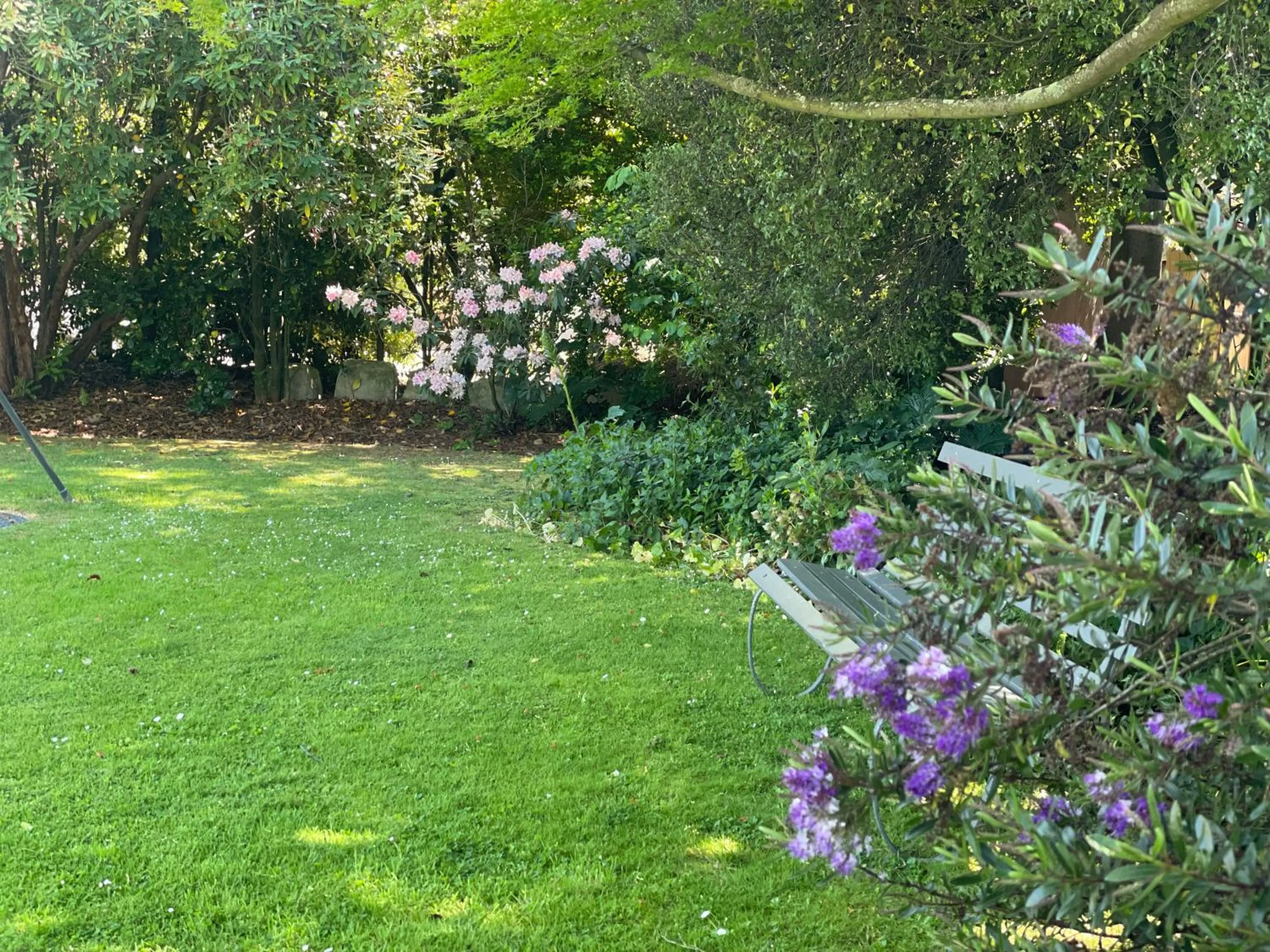 Garden in Ashleigh Court Motel-Christchurch Hagley Park