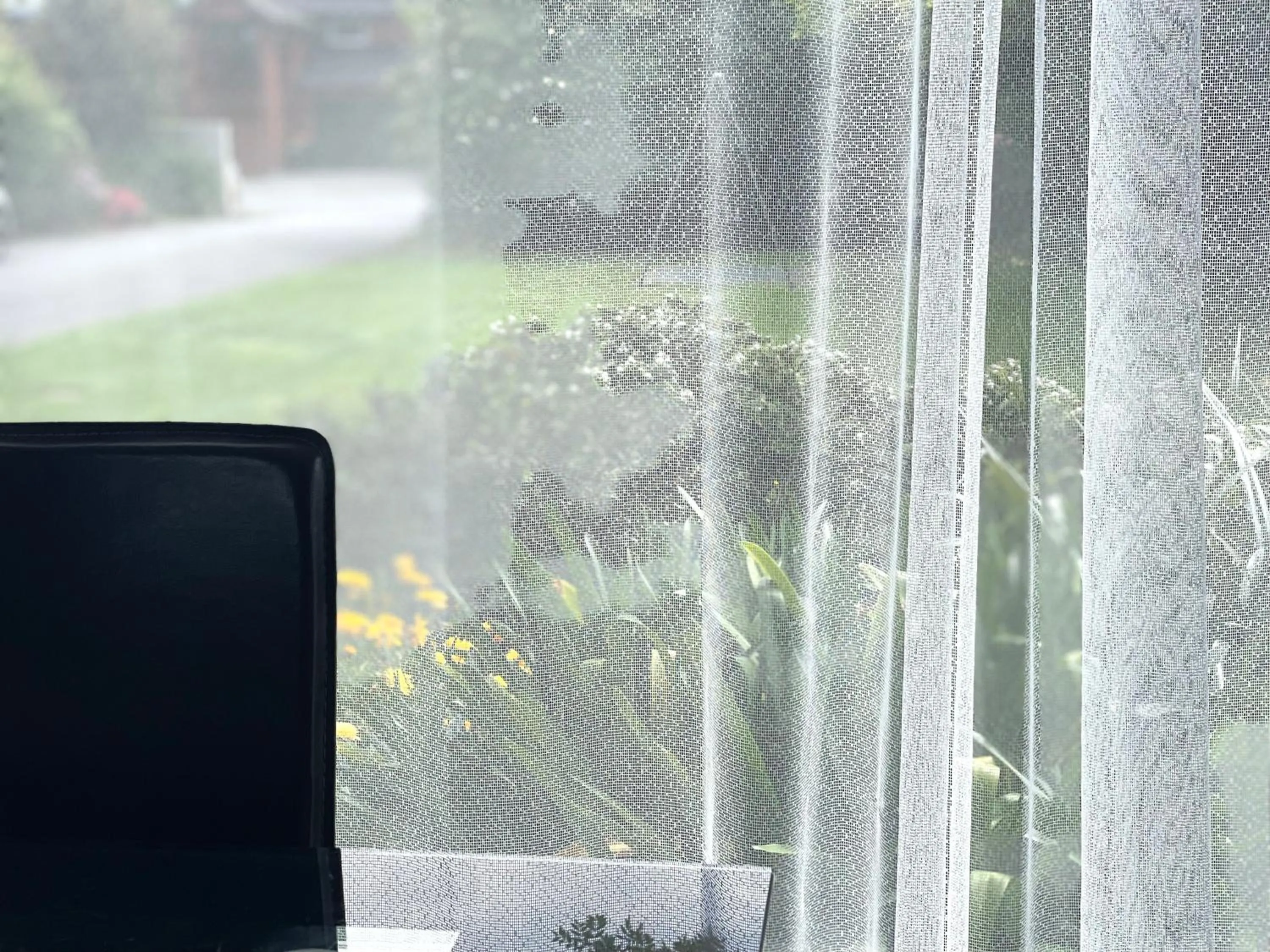 View (from property/room) in Ashleigh Court Motel-Christchurch Hagley Park