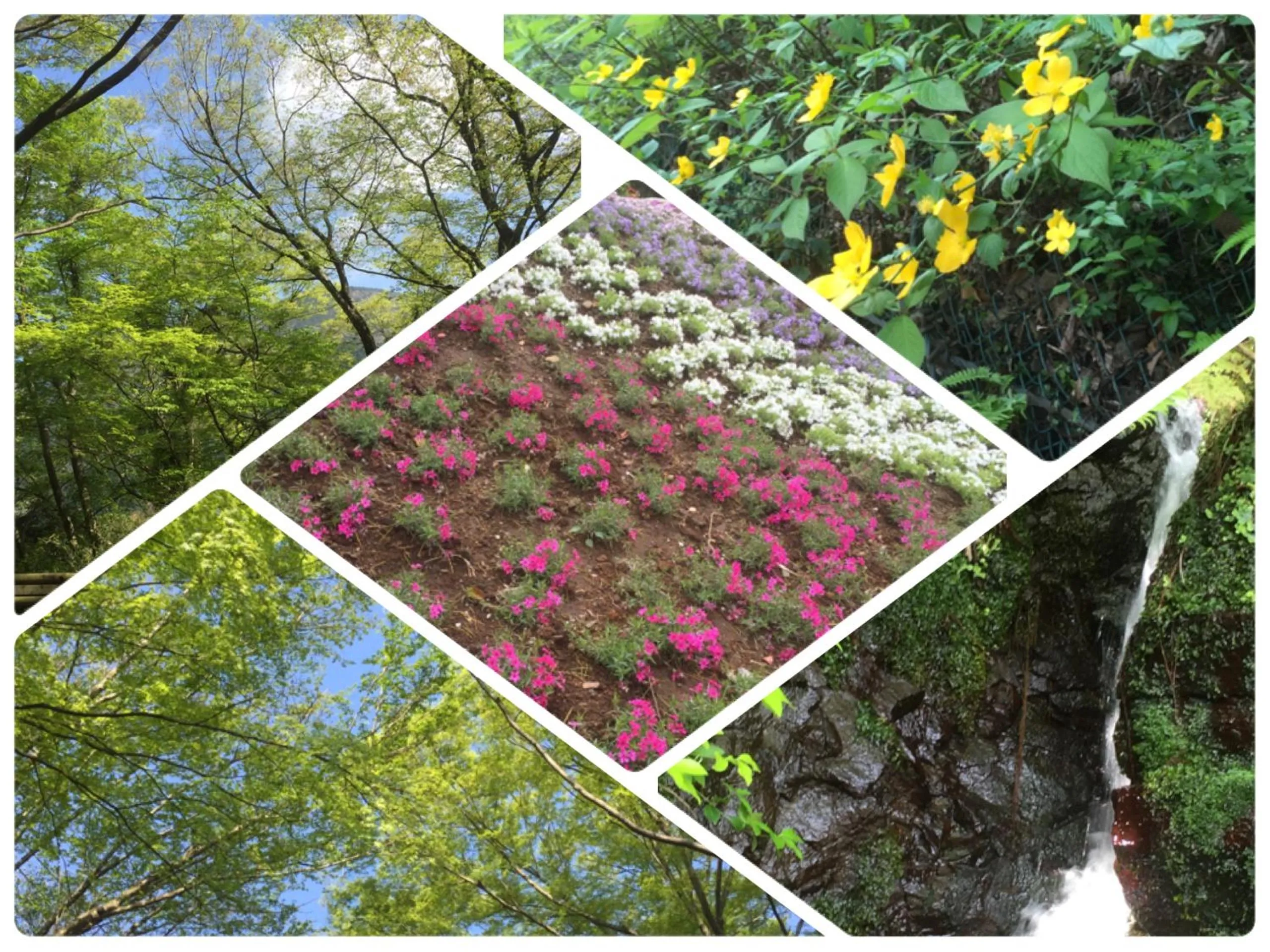 Spring in Umimoto