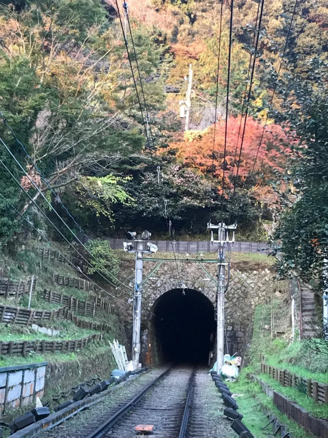 Other in Umimoto