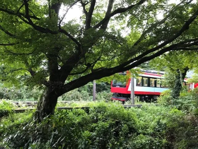 Nearby landmark in Umimoto
