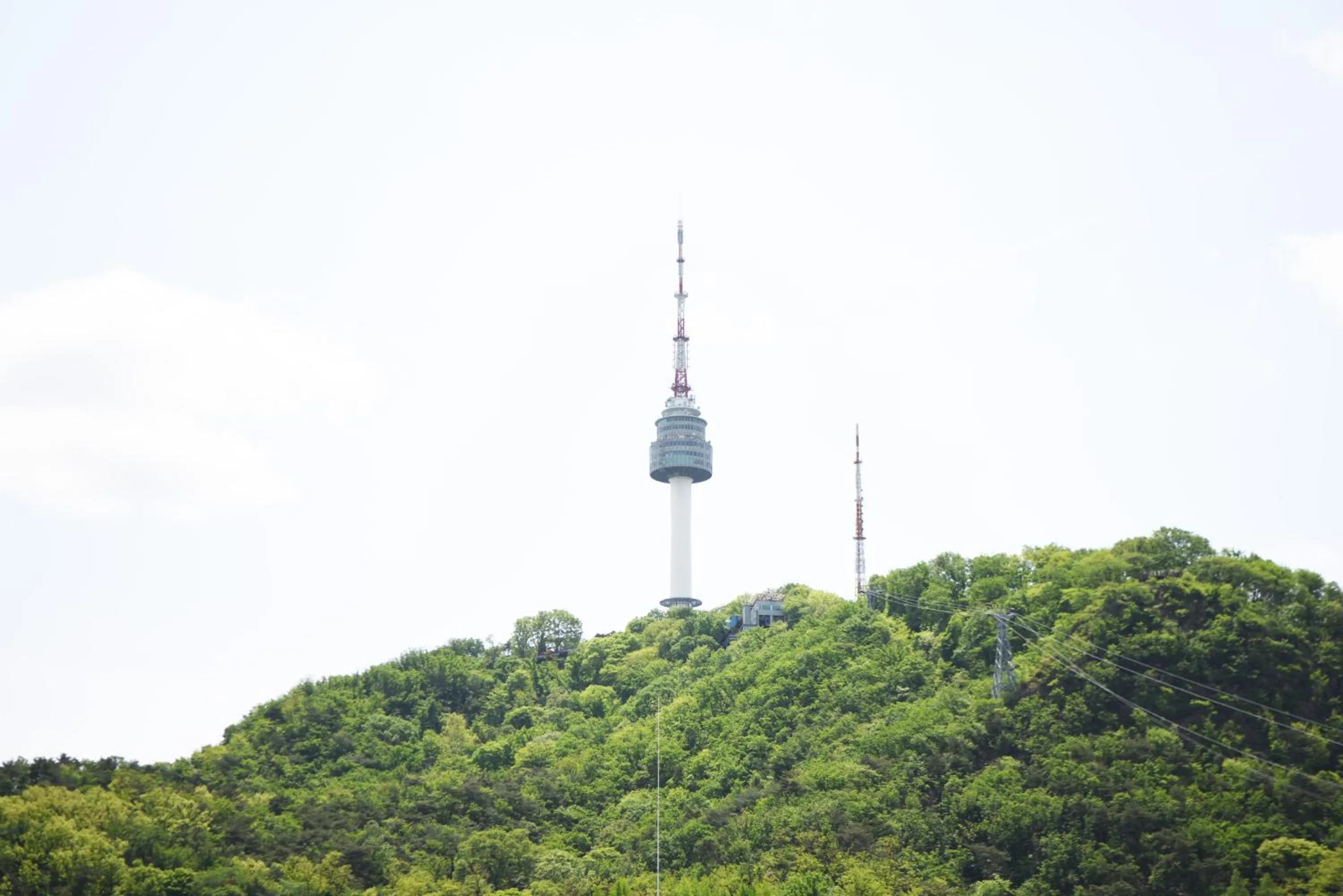 Natural landscape in Namsan Forest in Myeongdong