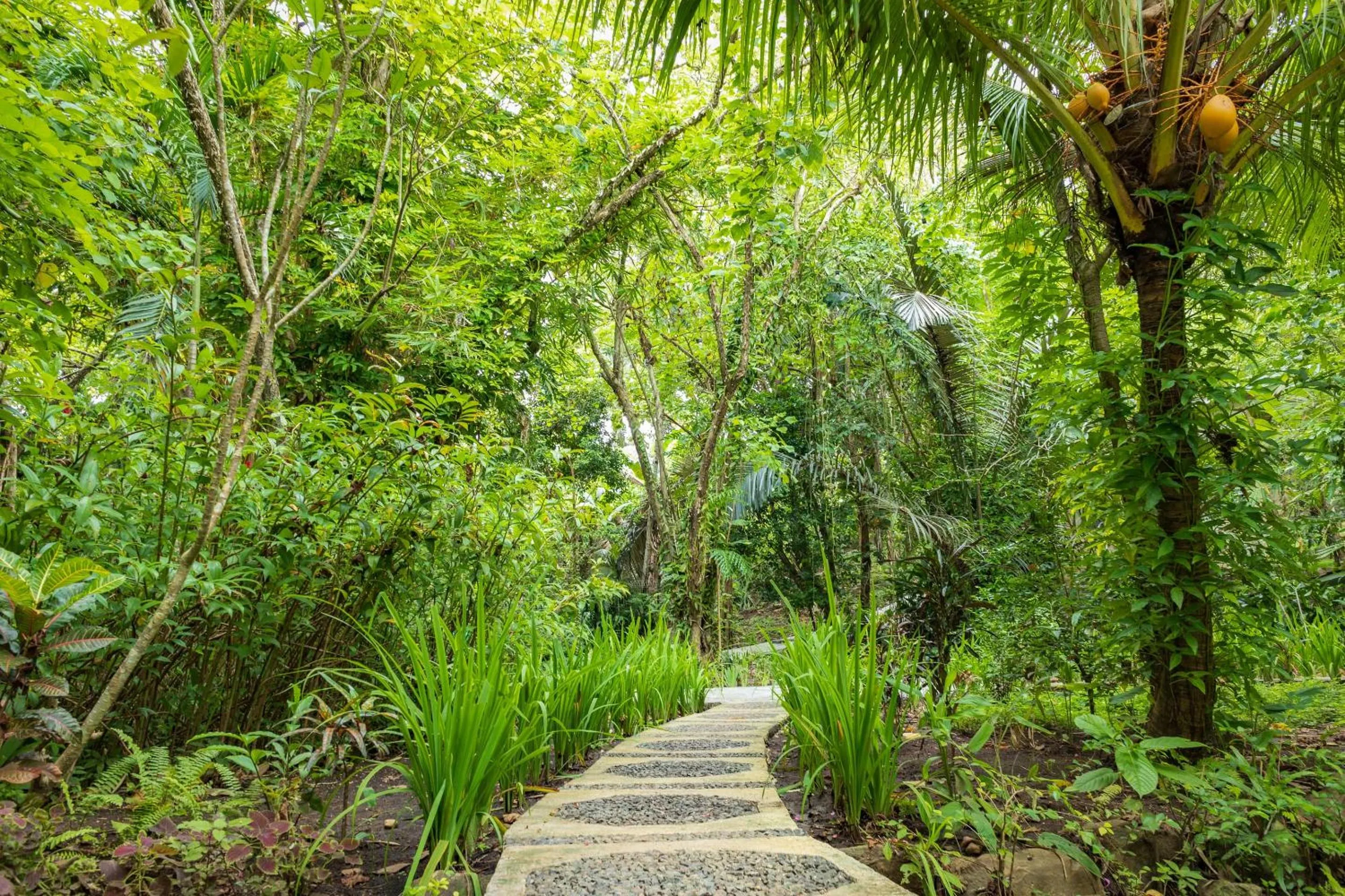 Garden in Thalassa Dive & Wellbeing Resort Manado