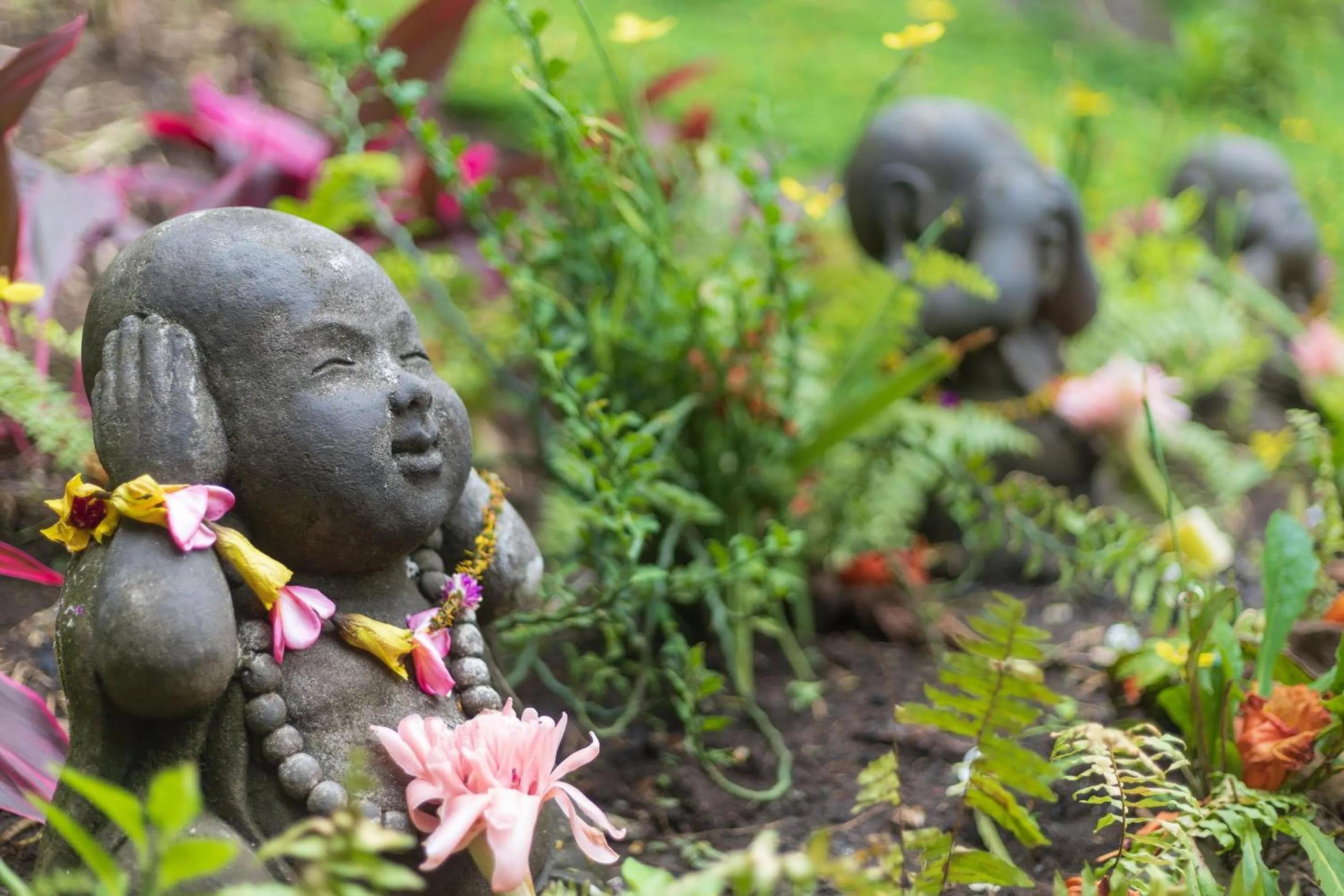 Garden in Thalassa Dive & Wellbeing Resort Manado