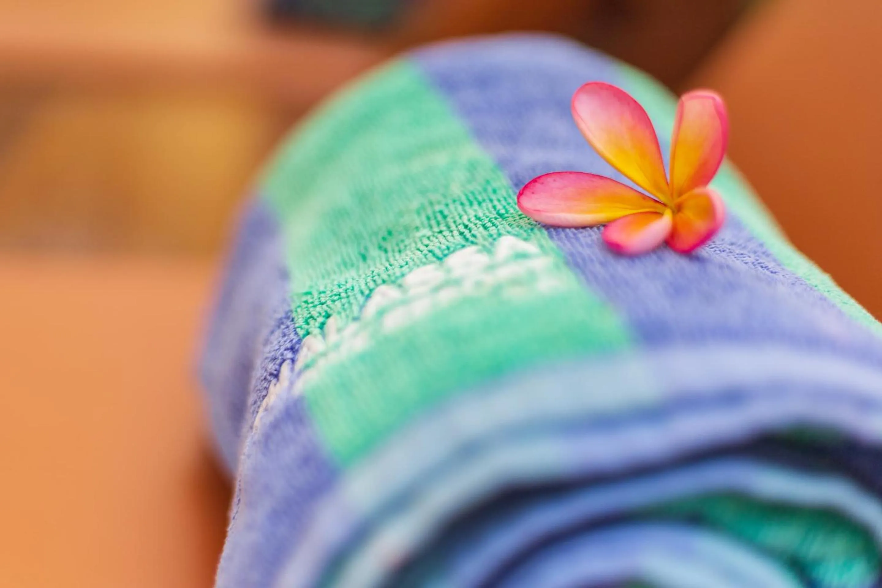 Swimming pool in Thalassa Dive & Wellbeing Resort Manado