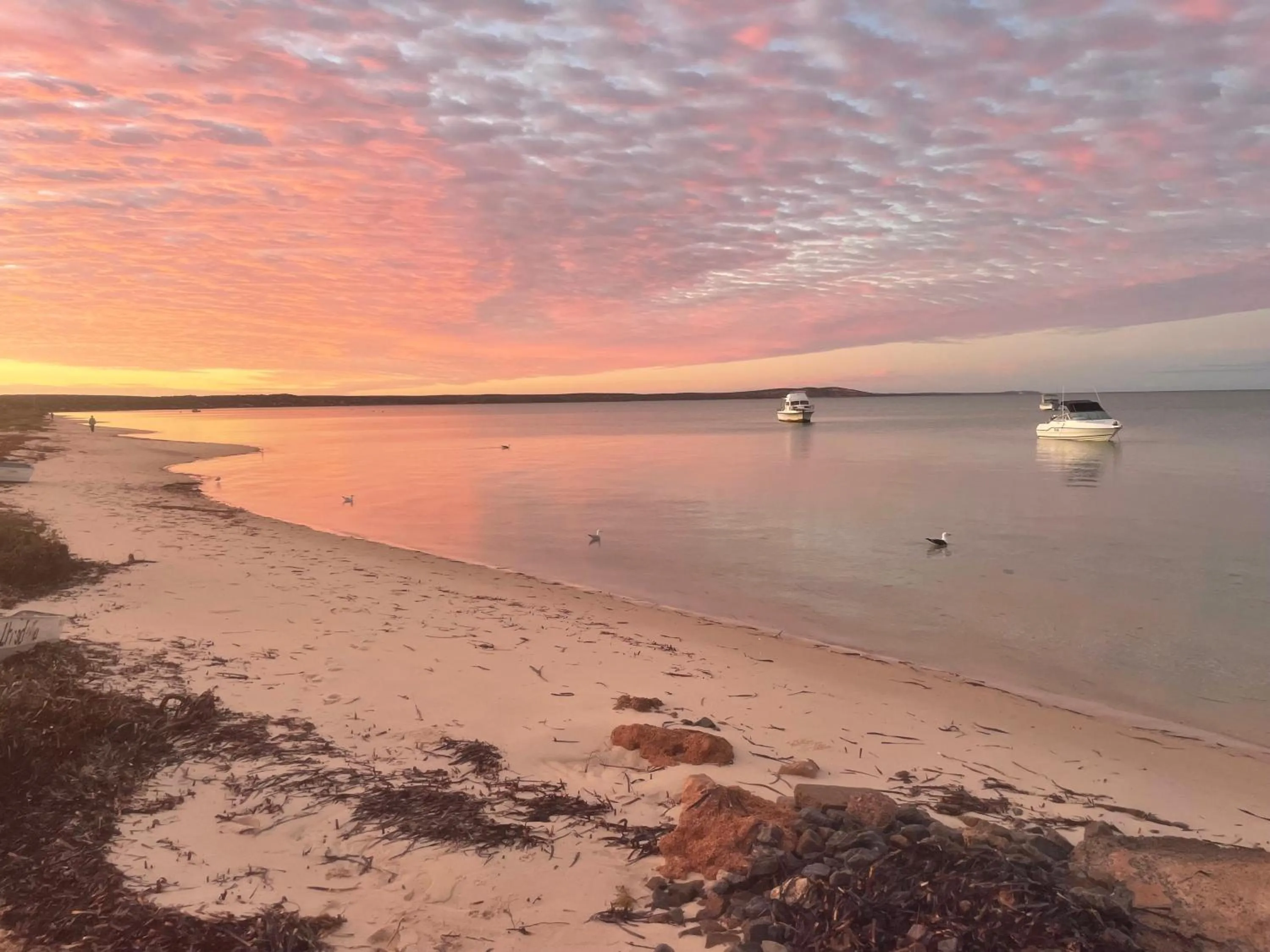 Beach in Shark Bay Seafront Apartments
