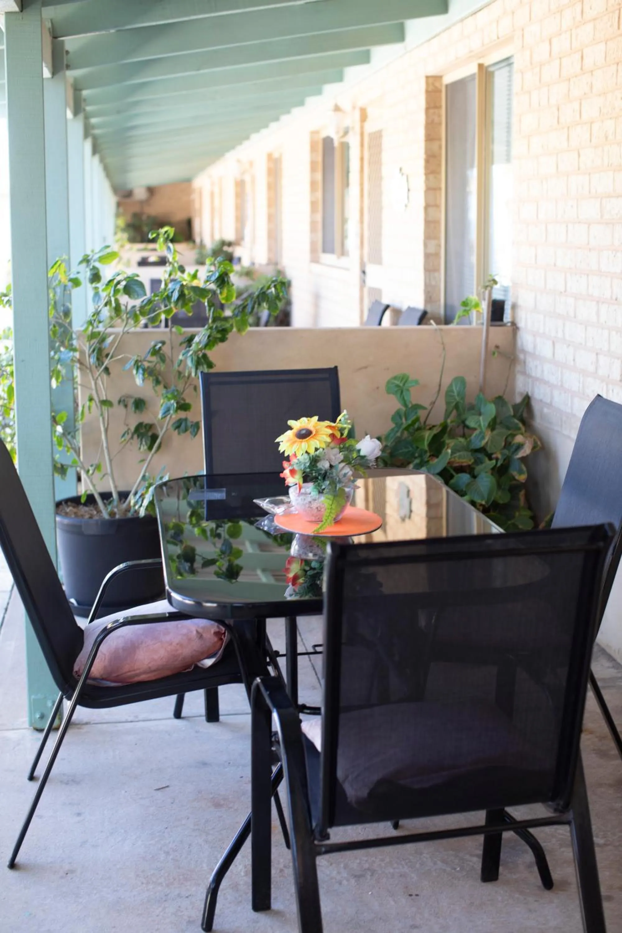 Patio in Shark Bay Seafront Apartments