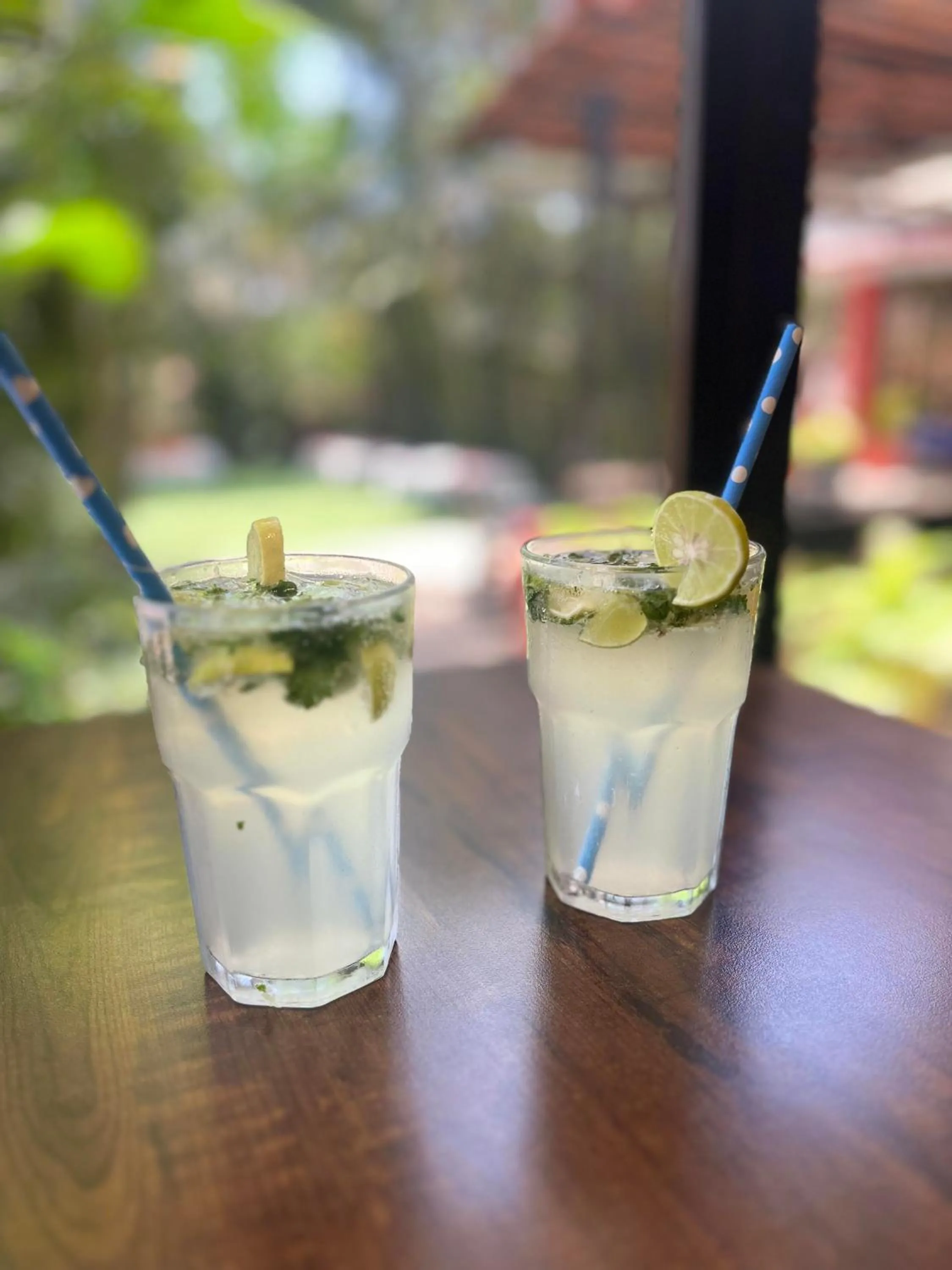 Food close-up in Girivihar Holiday Club - Pure Veg