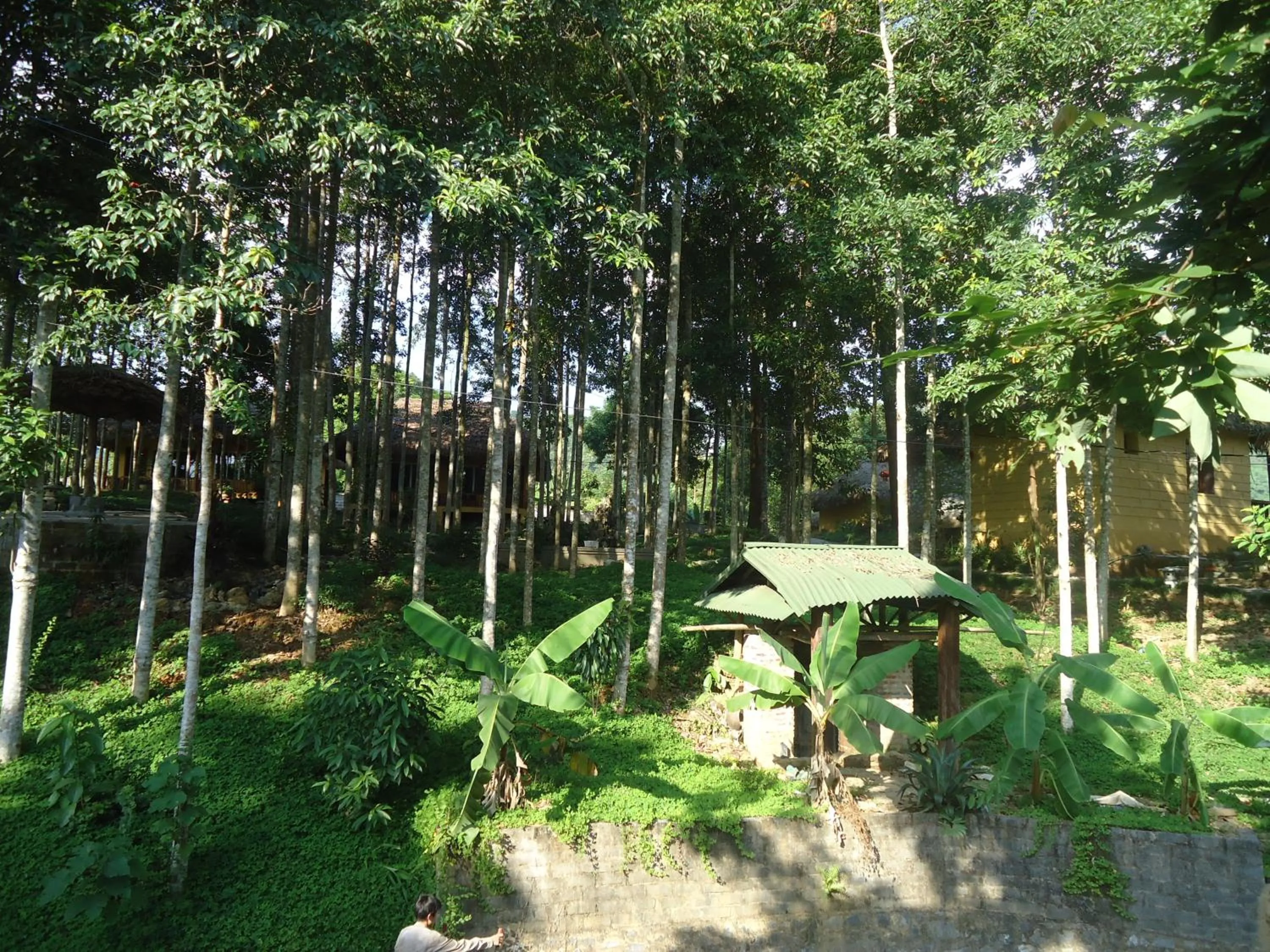 Neighbourhood in Truong Xuan Ecolodge