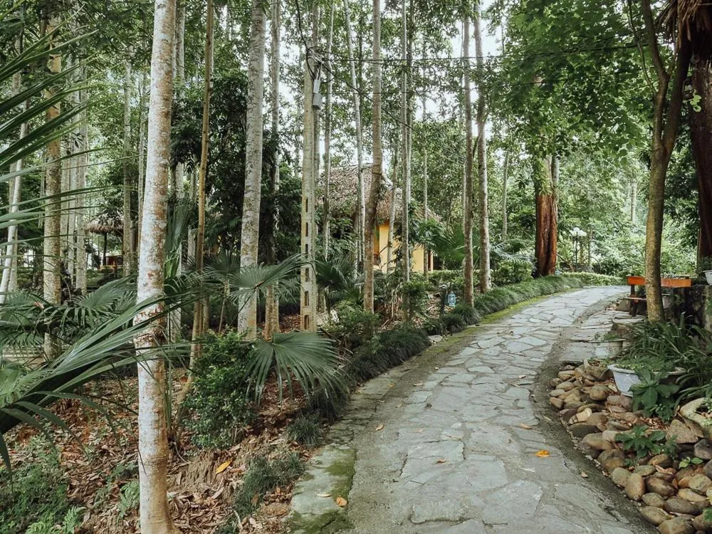 Garden in Truong Xuan Ecolodge