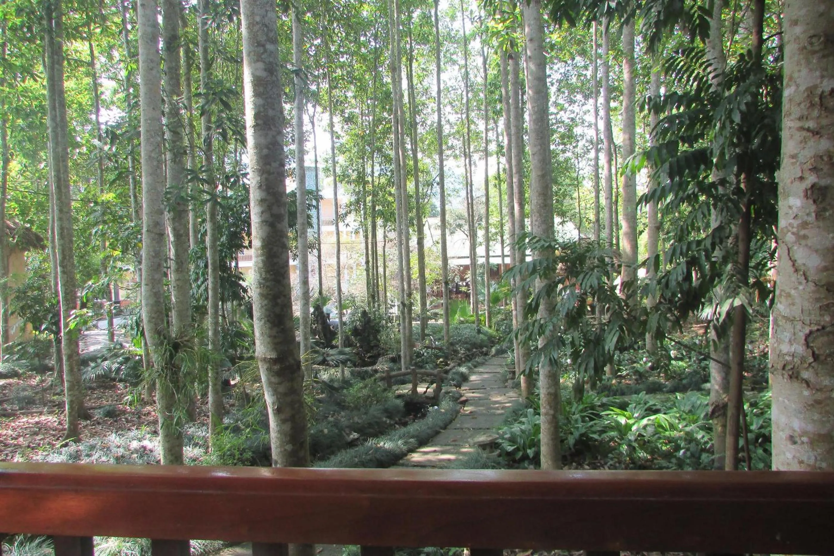 Balcony/Terrace in Truong Xuan Ecolodge