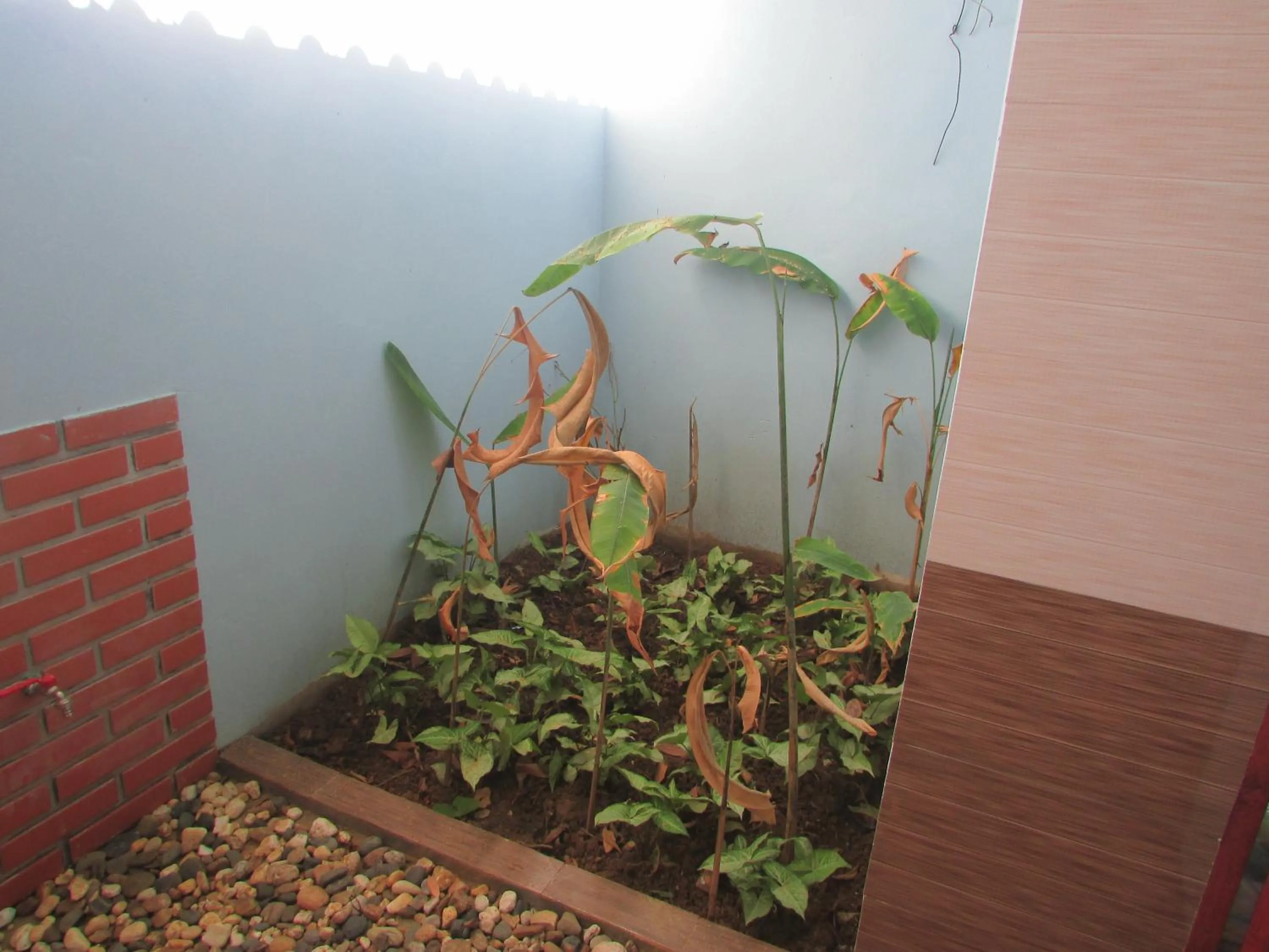 Bathroom in Truong Xuan Ecolodge