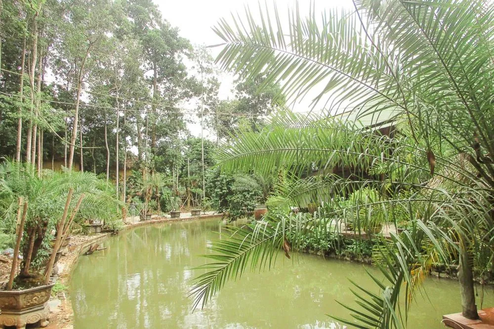 Garden in Truong Xuan Ecolodge