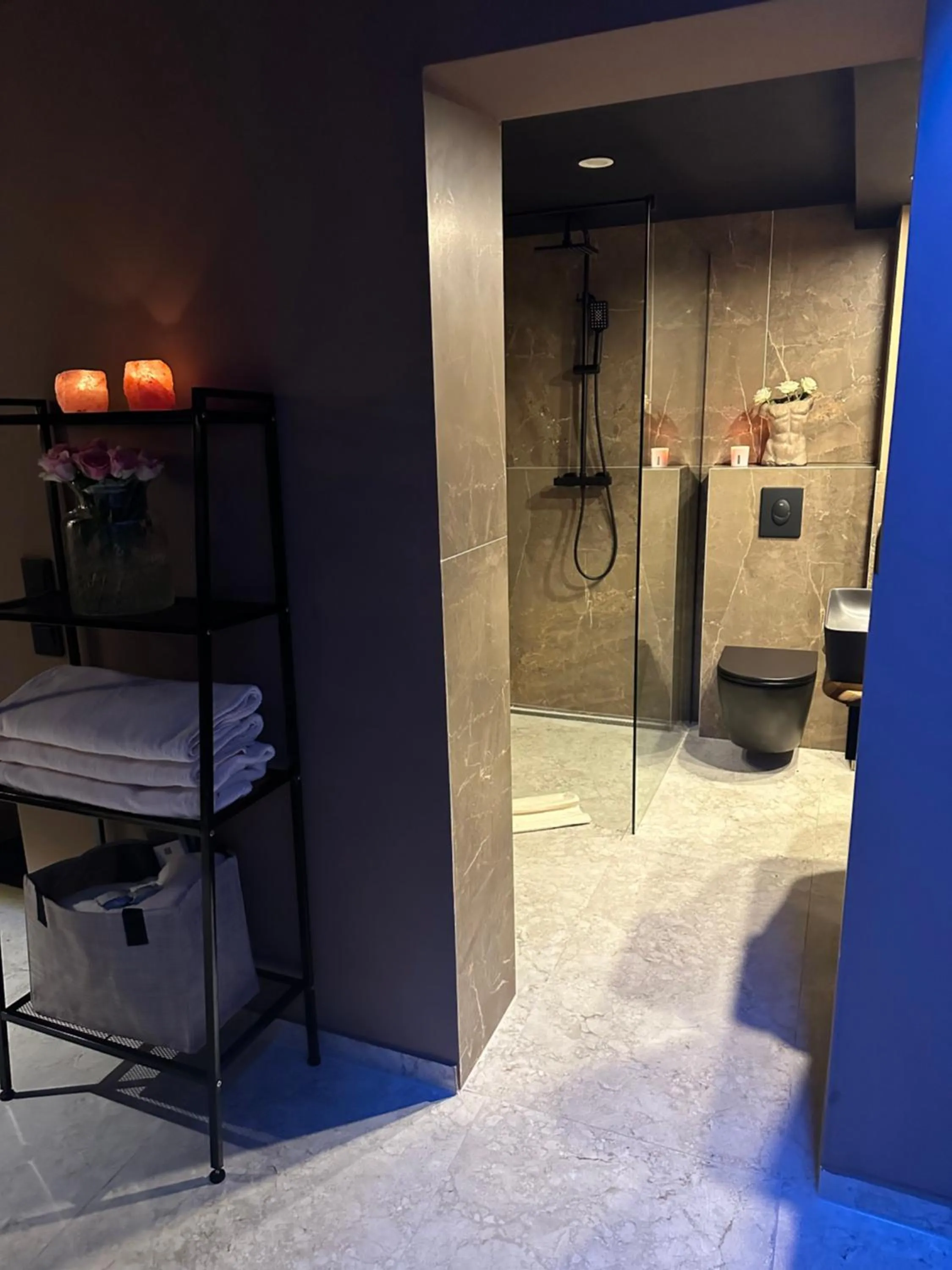 Sauna in Black Forest Dream Apartments