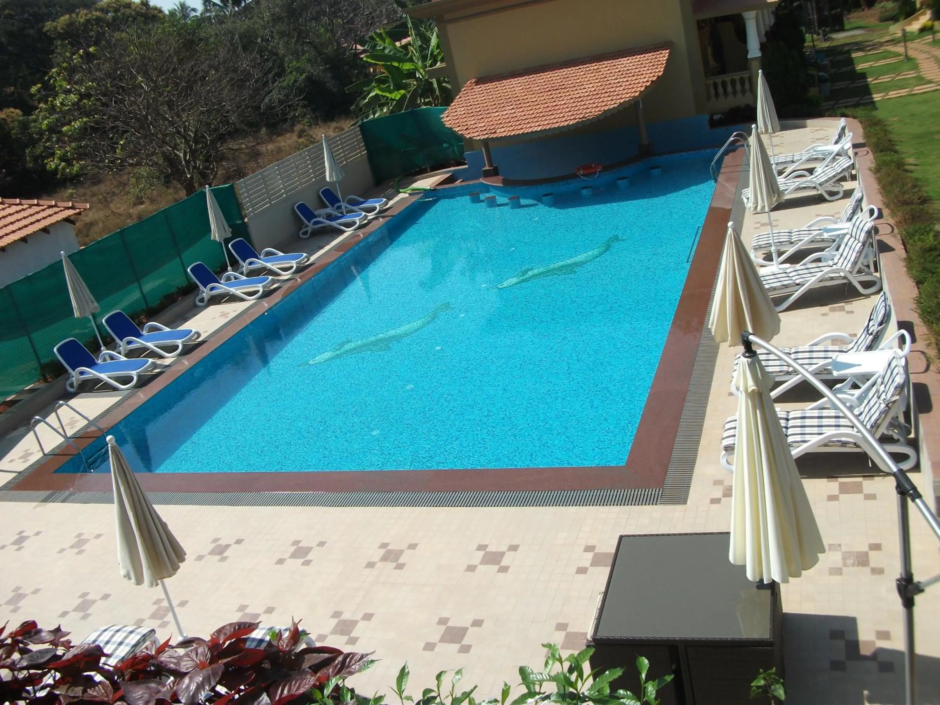 View (from property/room) in Cochichos Resort