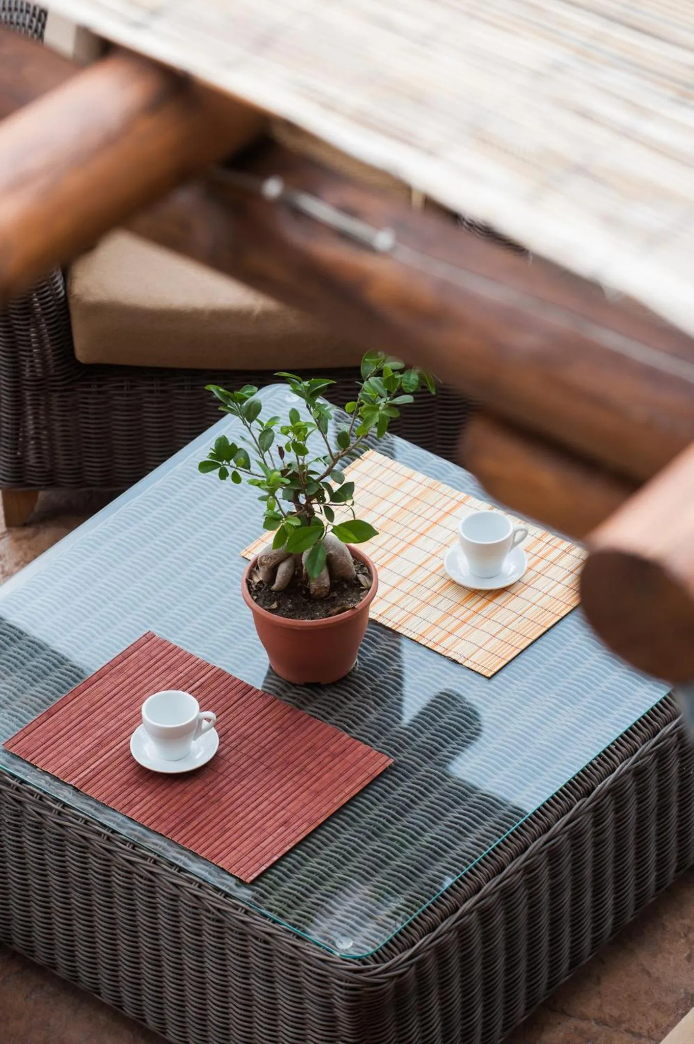 Garden in Polys Guest House