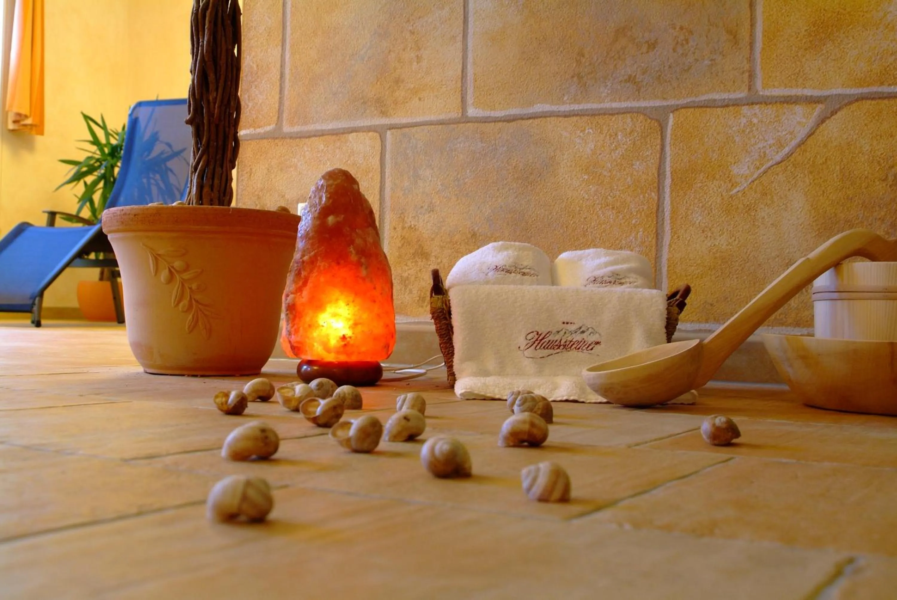 Spa and wellness centre/facilities in Landhaus & Appartementhaus Haussteiner