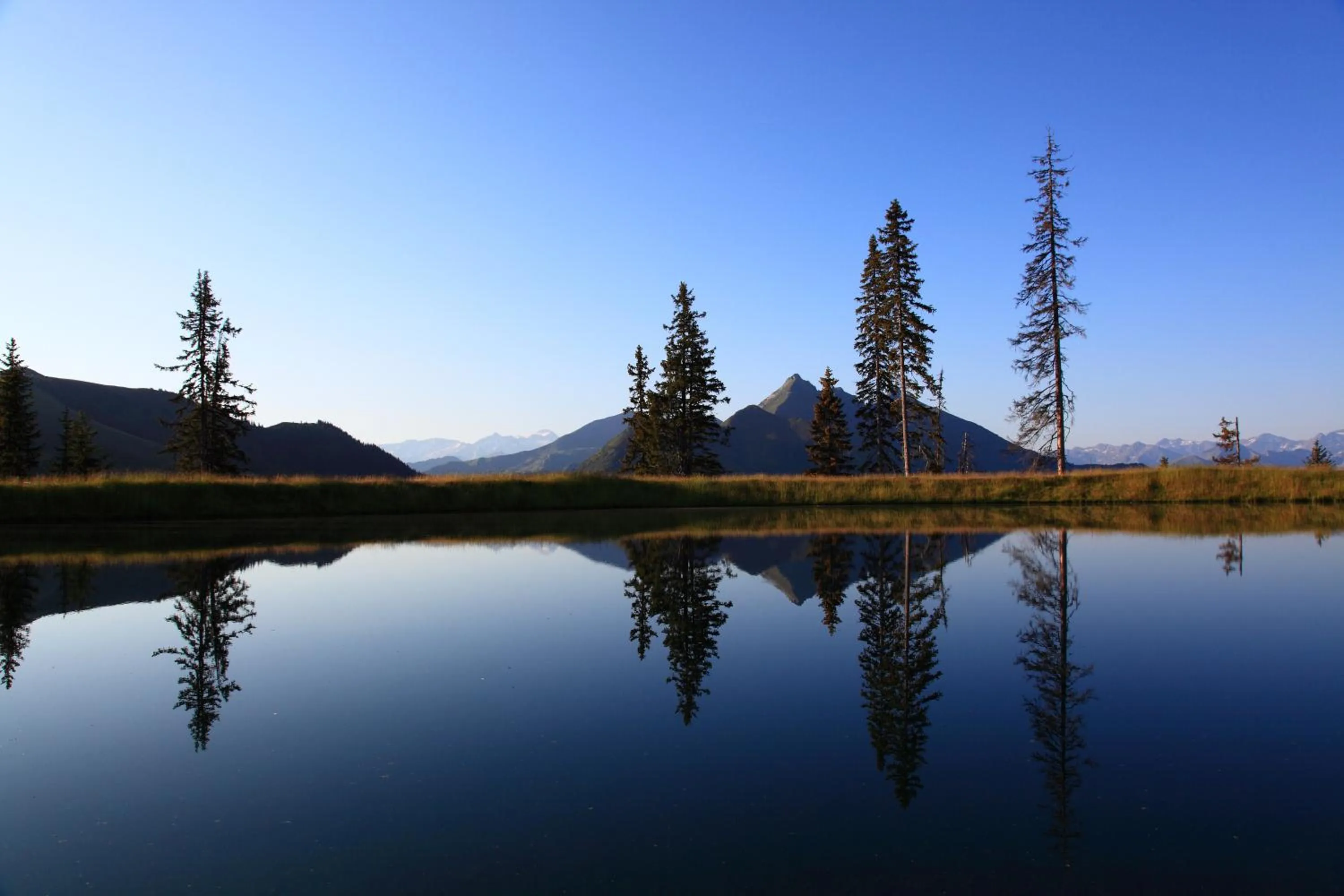 Natural landscape in Landhaus & Appartementhaus Haussteiner
