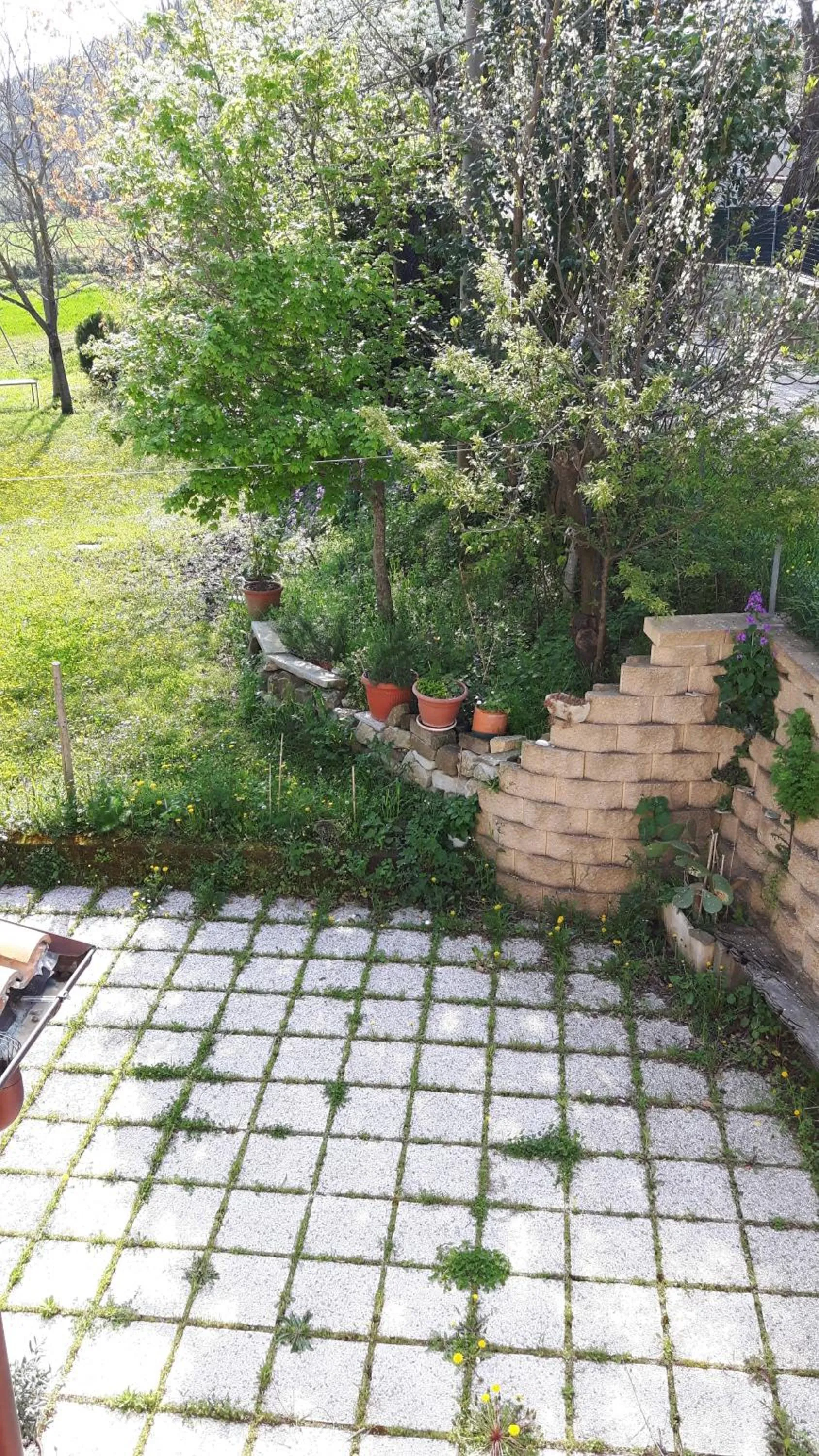 Garden in B&B Le Due Rocche