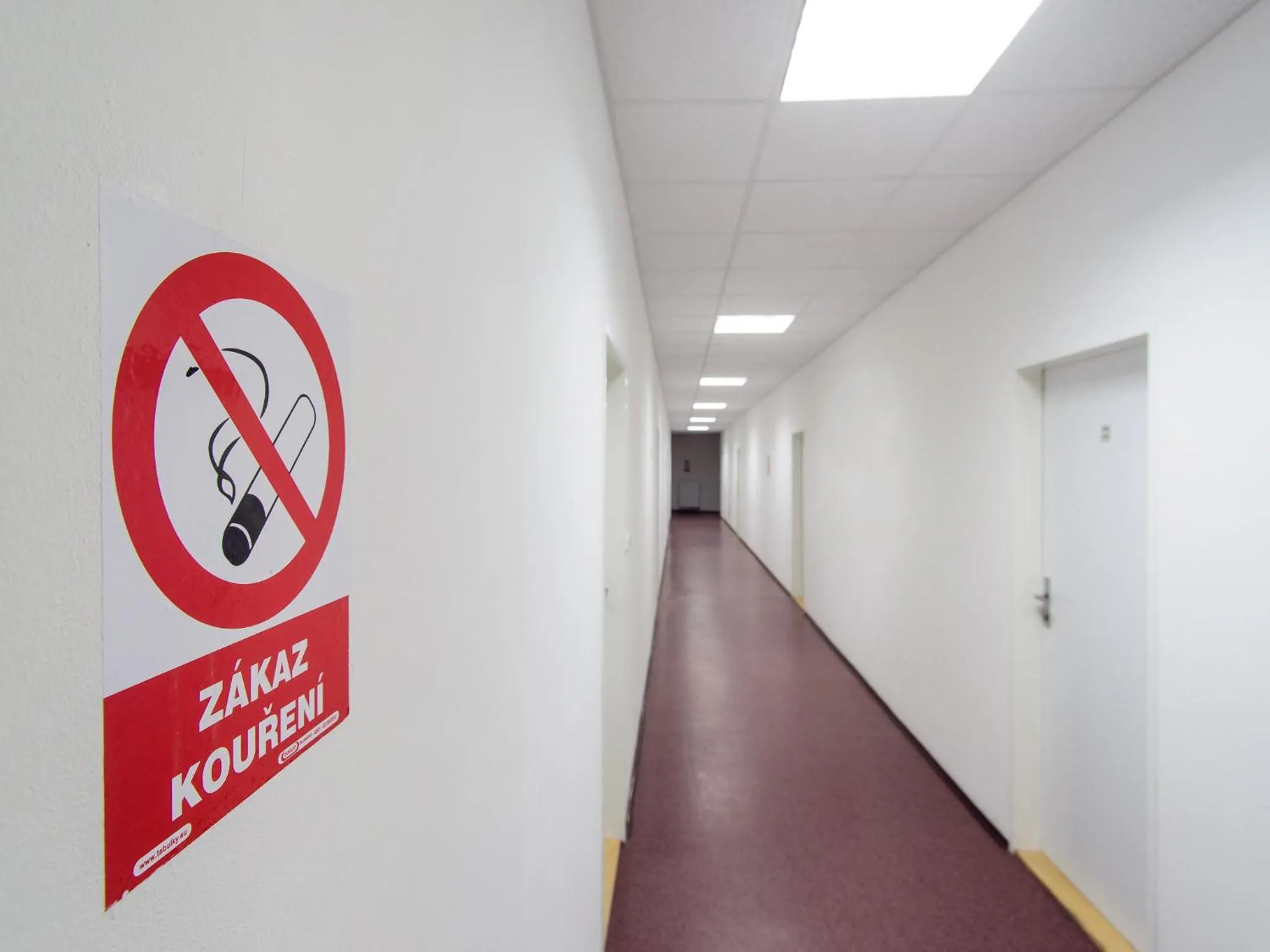 Property building in Hostel BOHEMIA