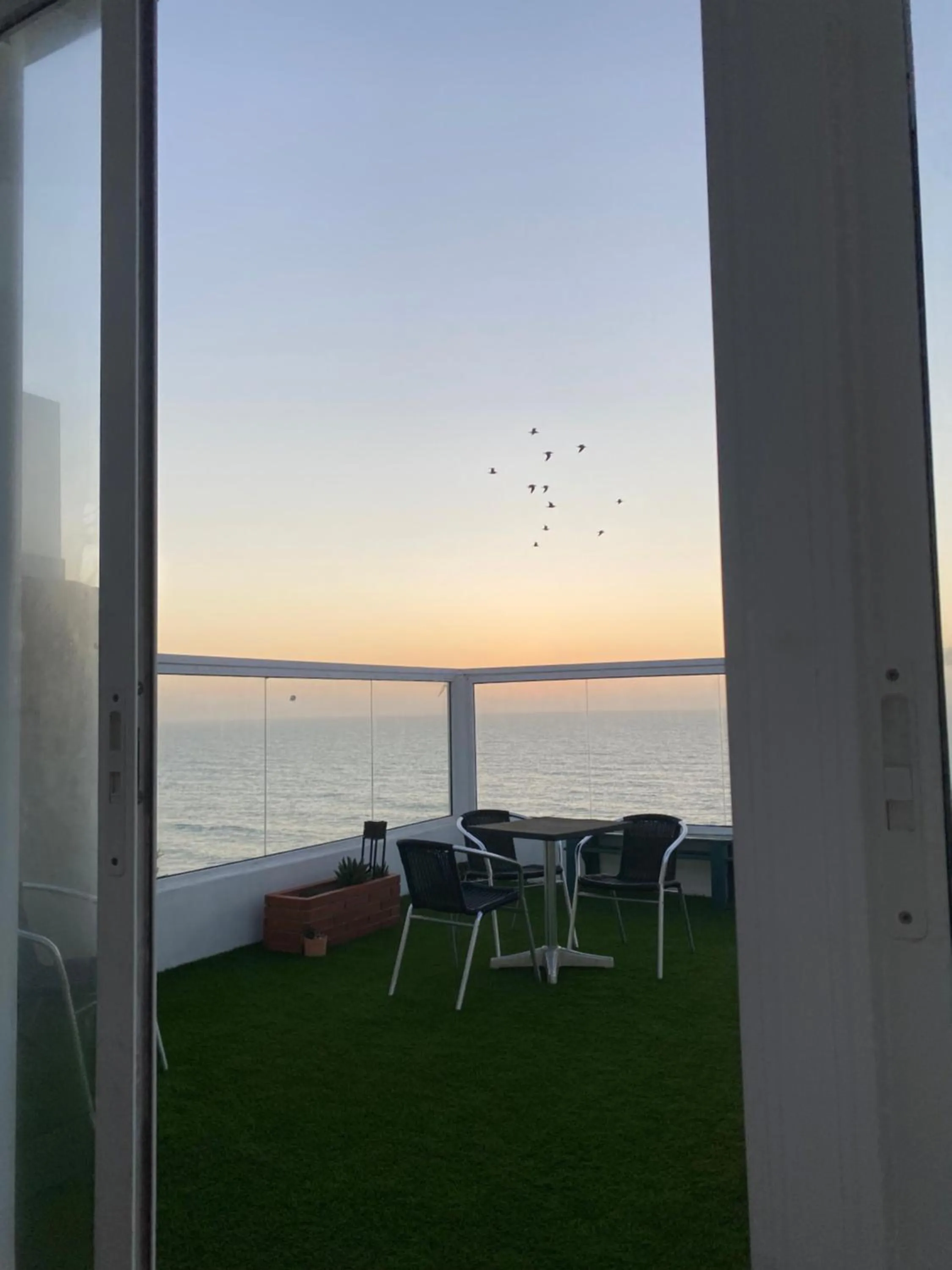 Garden in Albergaria Pedra D'Ouro