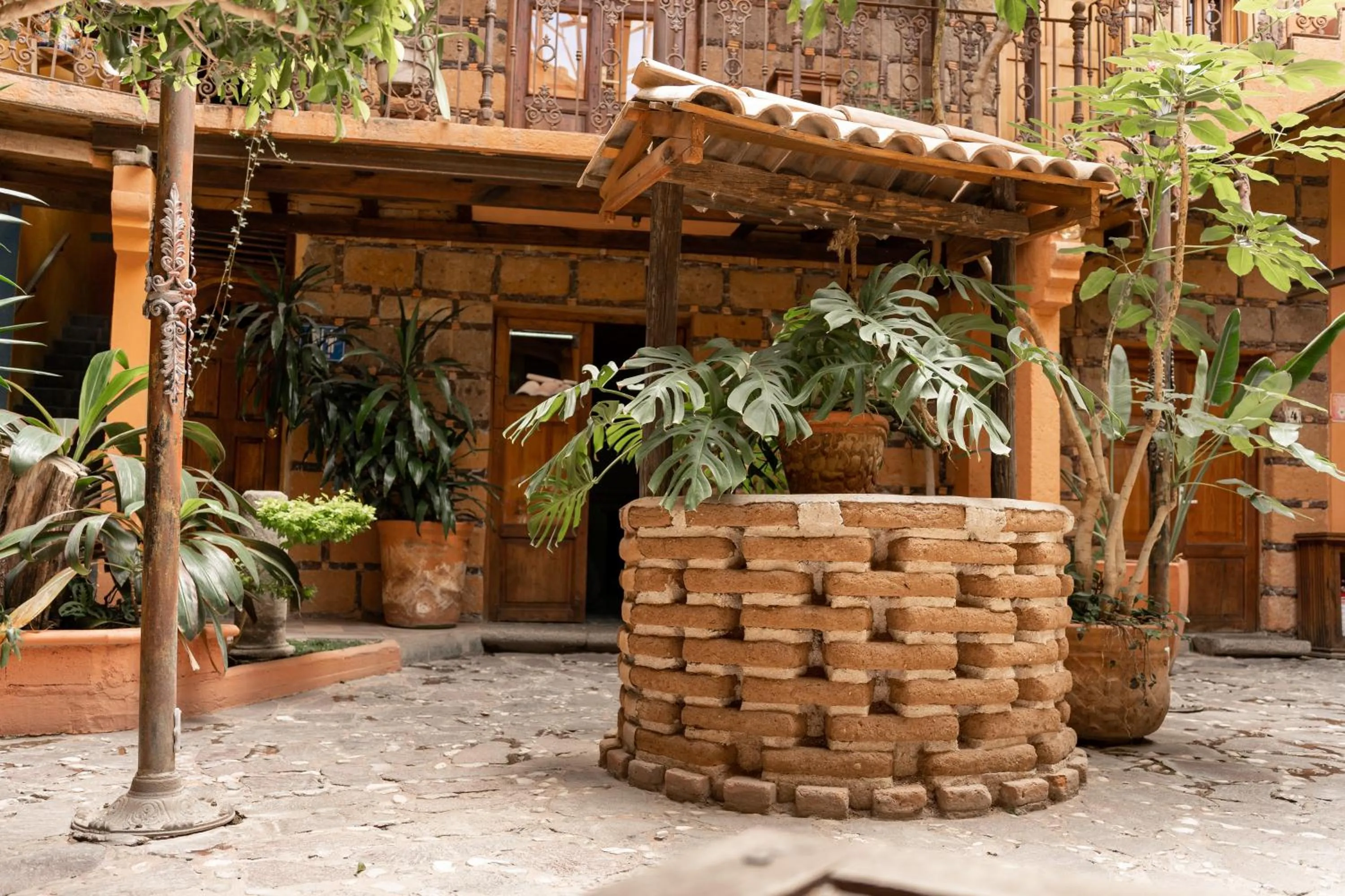 Garden in Hotel CasaMia