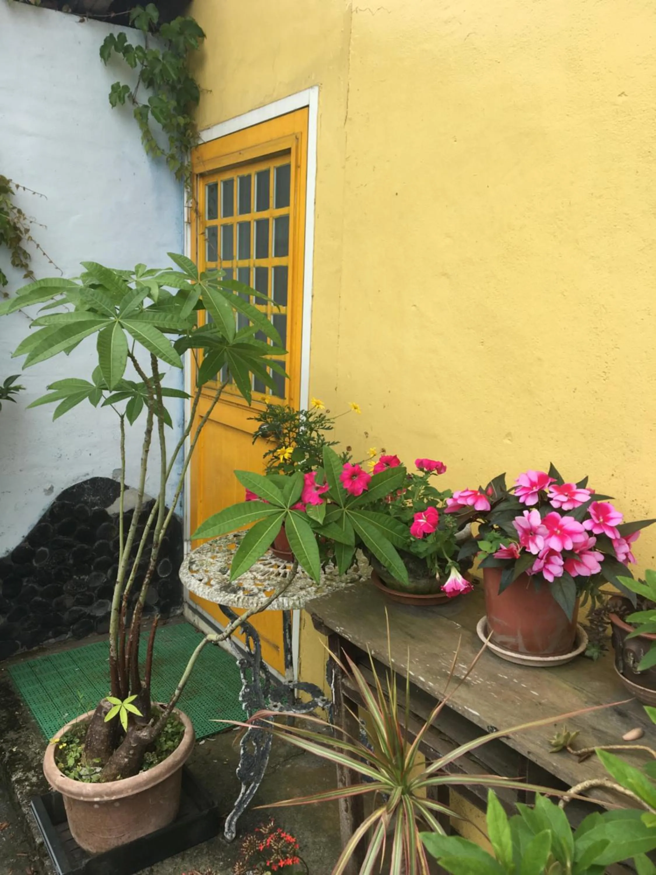 Facade/entrance in Yilan Real Fun Homestay