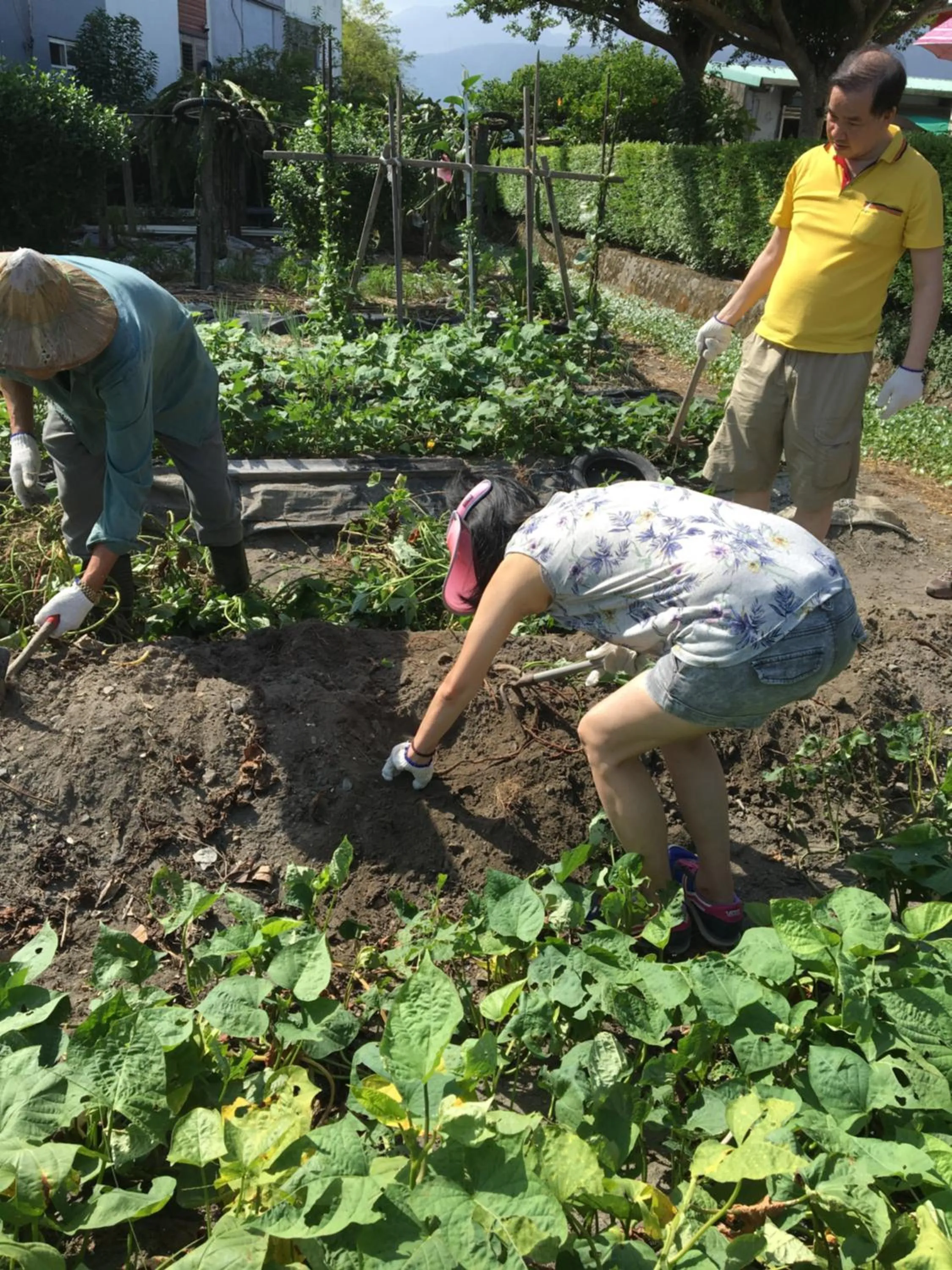 Time of day in Yilan Real Fun Homestay
