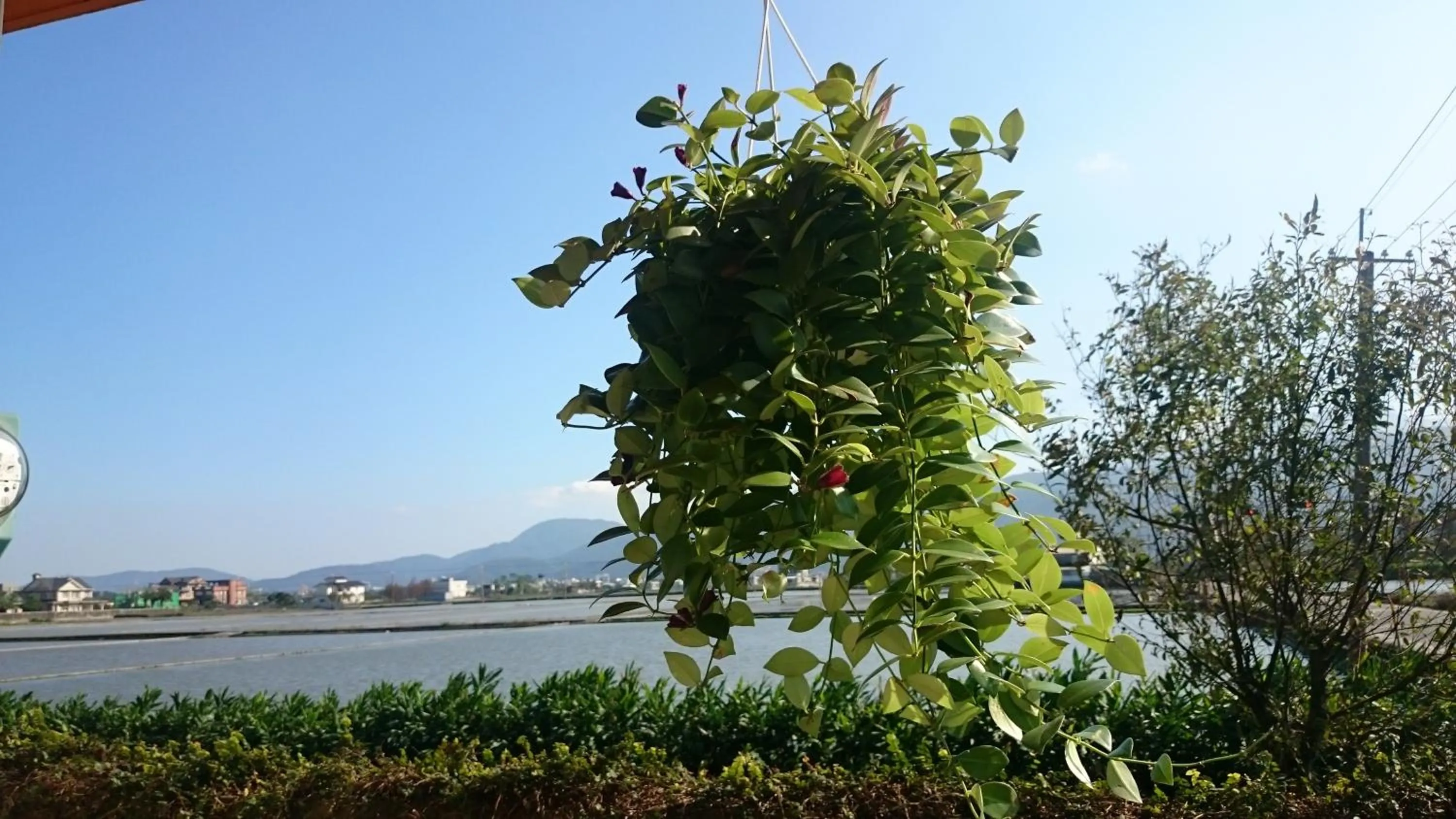Natural landscape in Yilan Real Fun Homestay