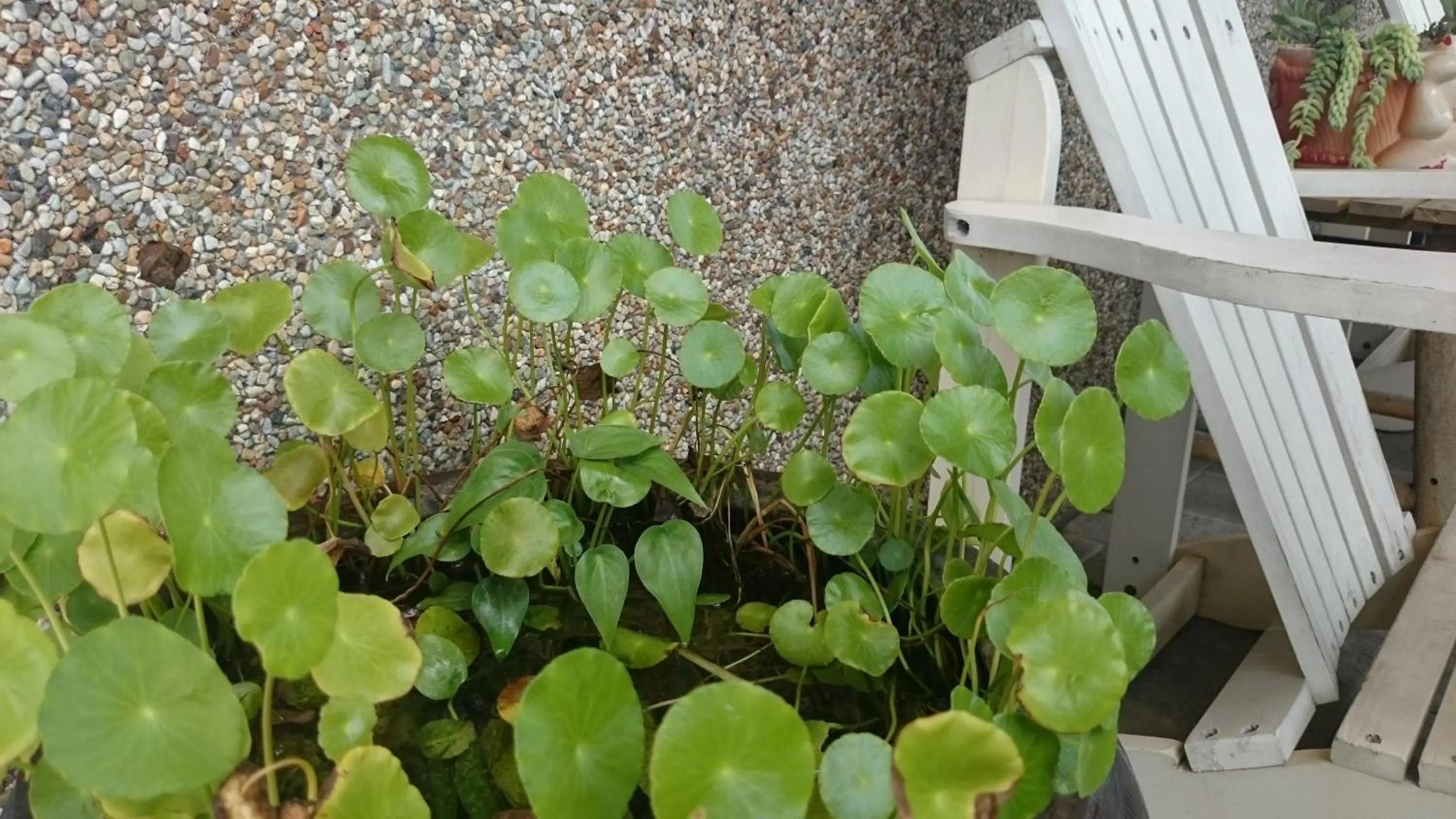 Property building in Yilan Real Fun Homestay