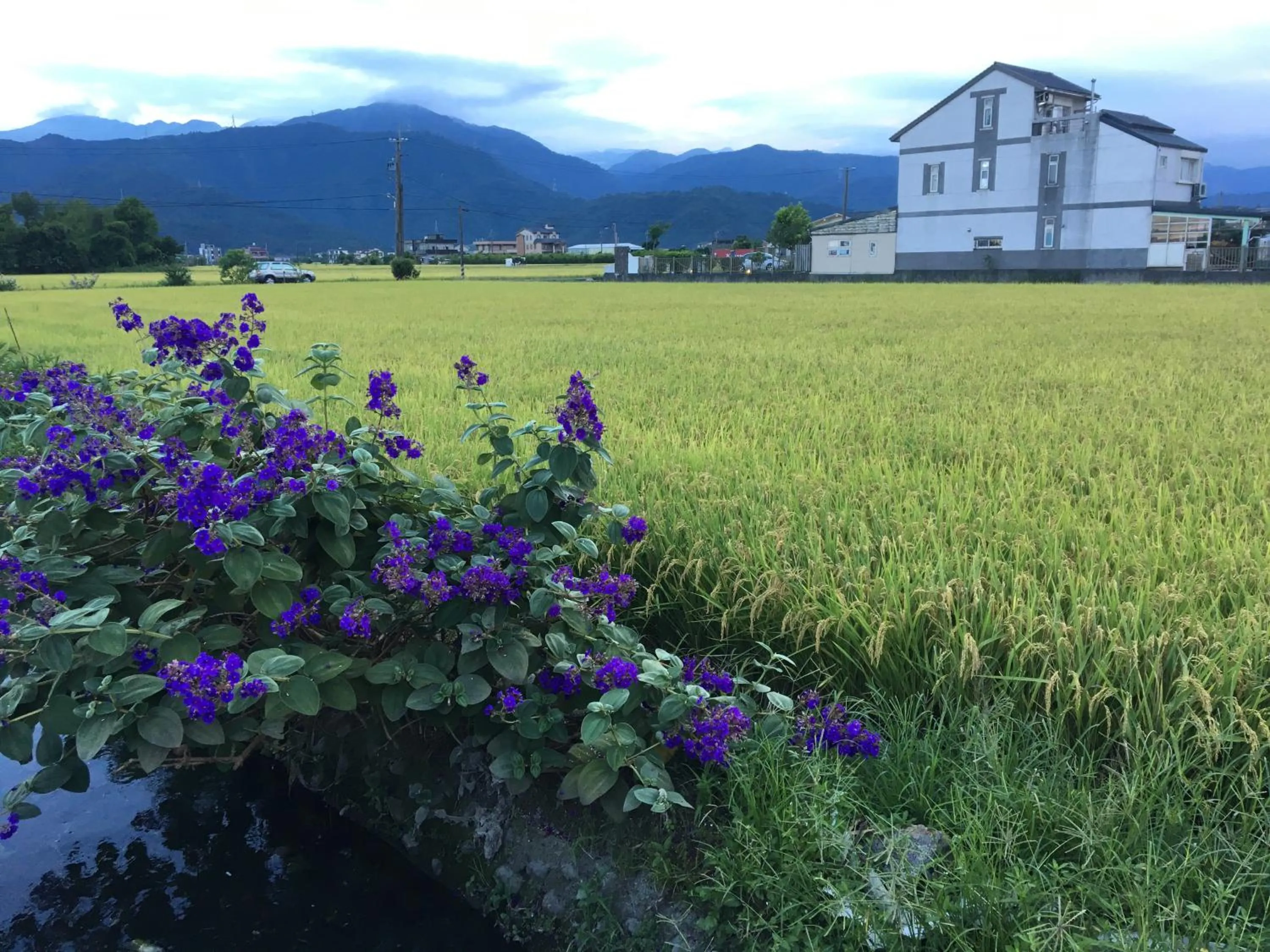 Facade/entrance in Yilan Real Fun Homestay
