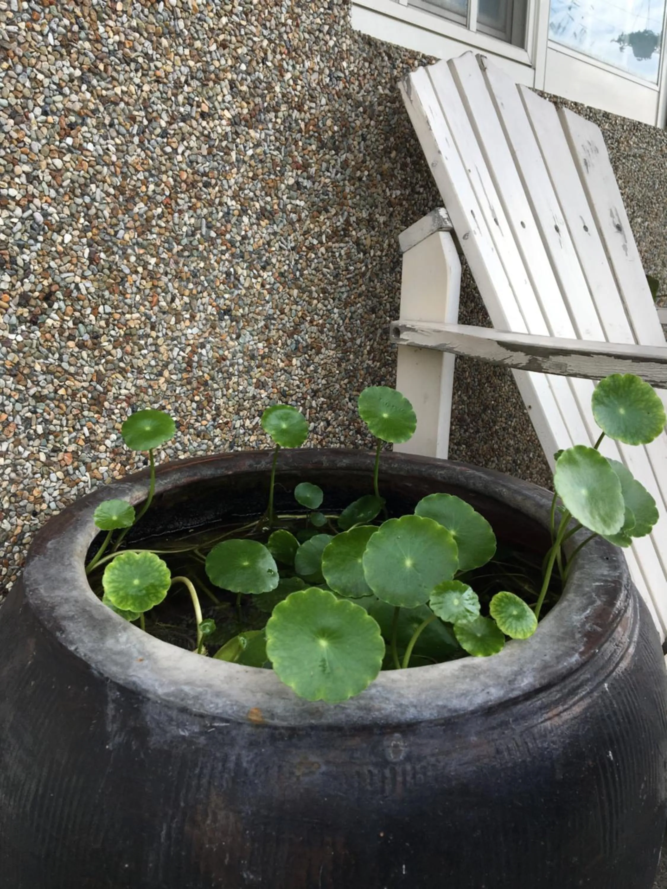 Facade/entrance in Yilan Real Fun Homestay