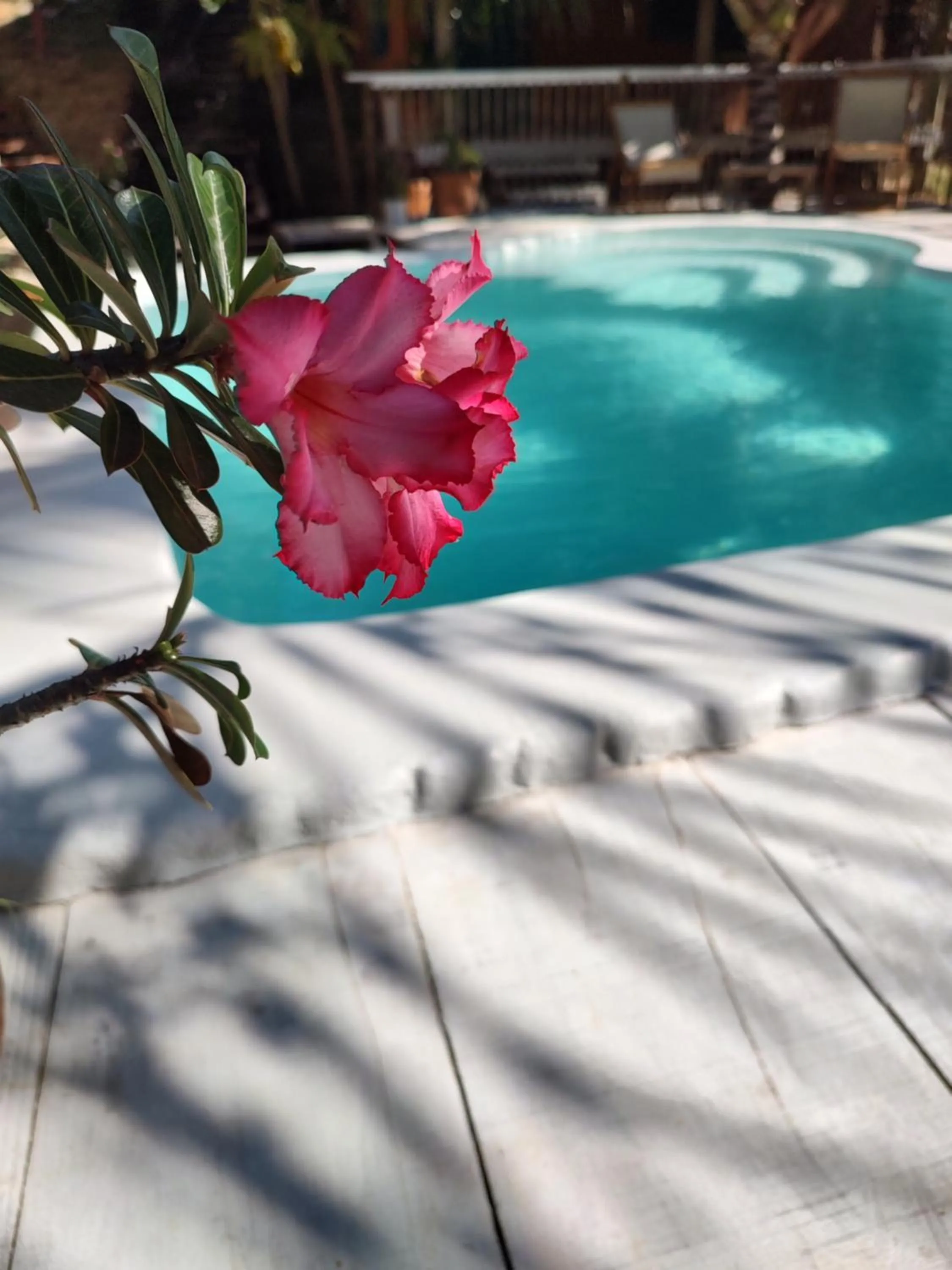 Swimming pool in Mangará Pousada